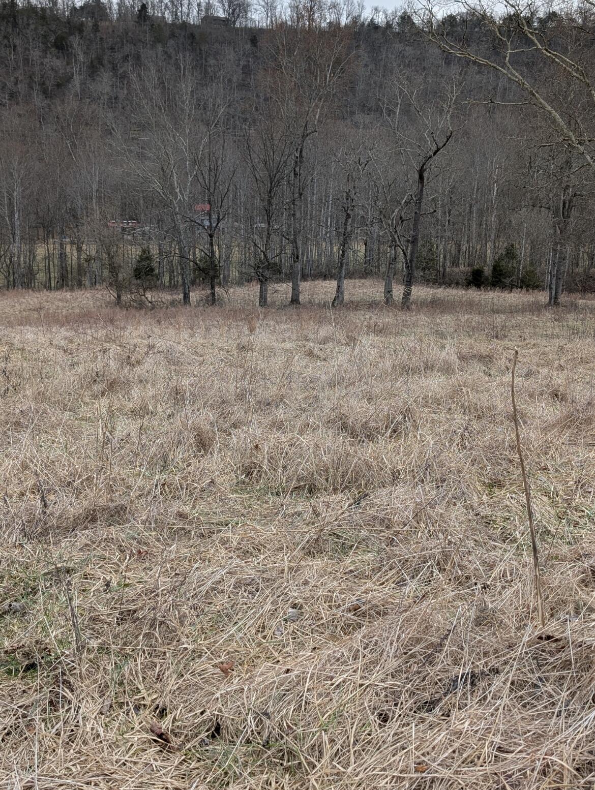2654 Short Road Property Photo 6