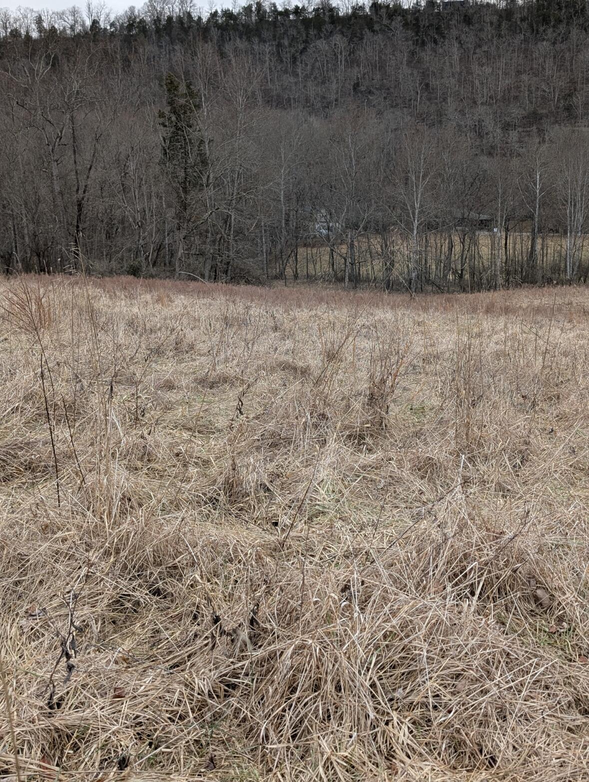 2654 Short Road Property Photo 8