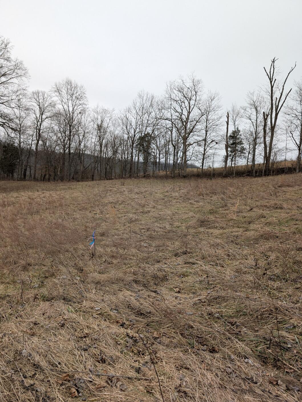 2654 Short Road Property Photo 9