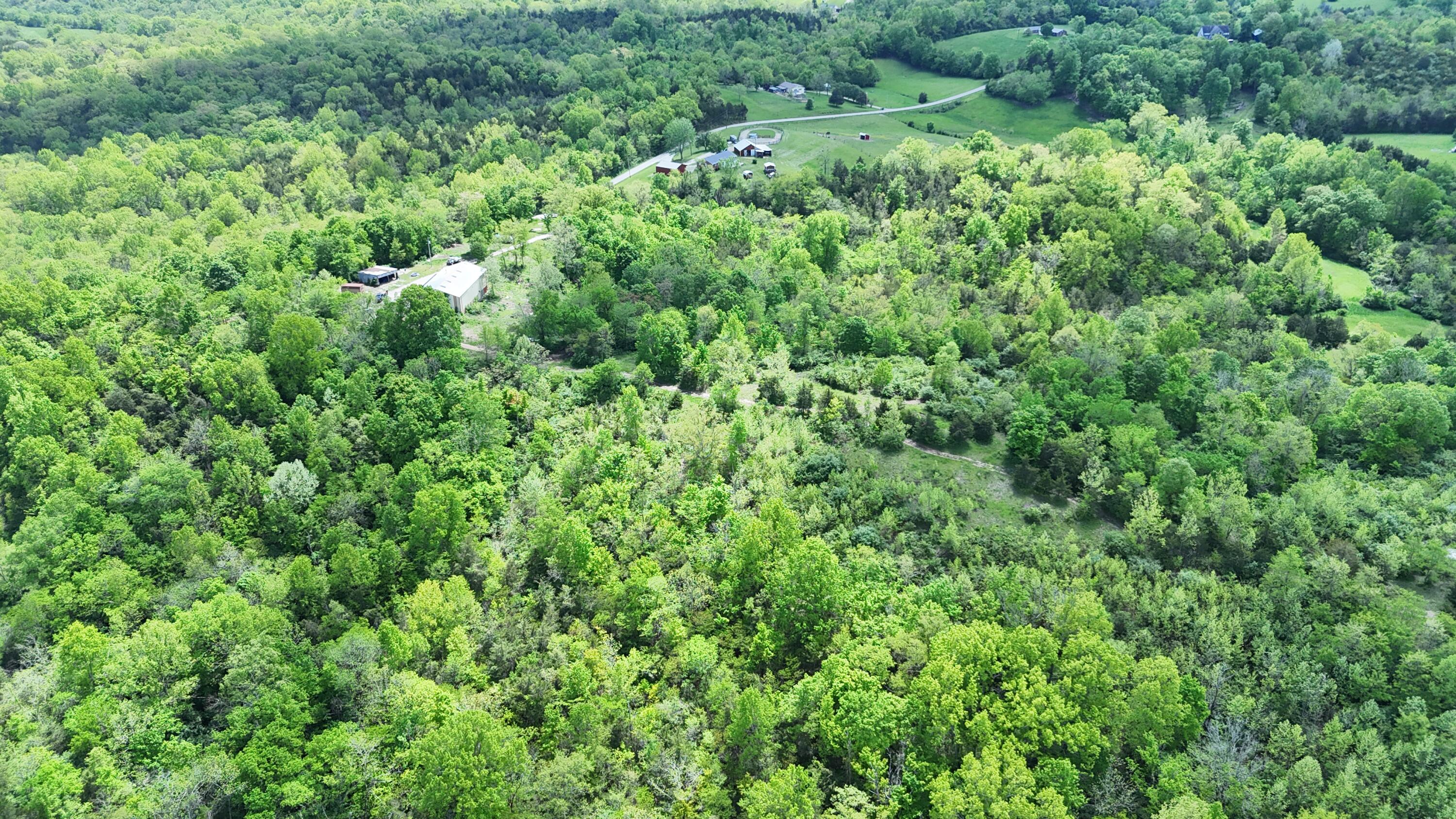 668 Short Road Property Photo 41