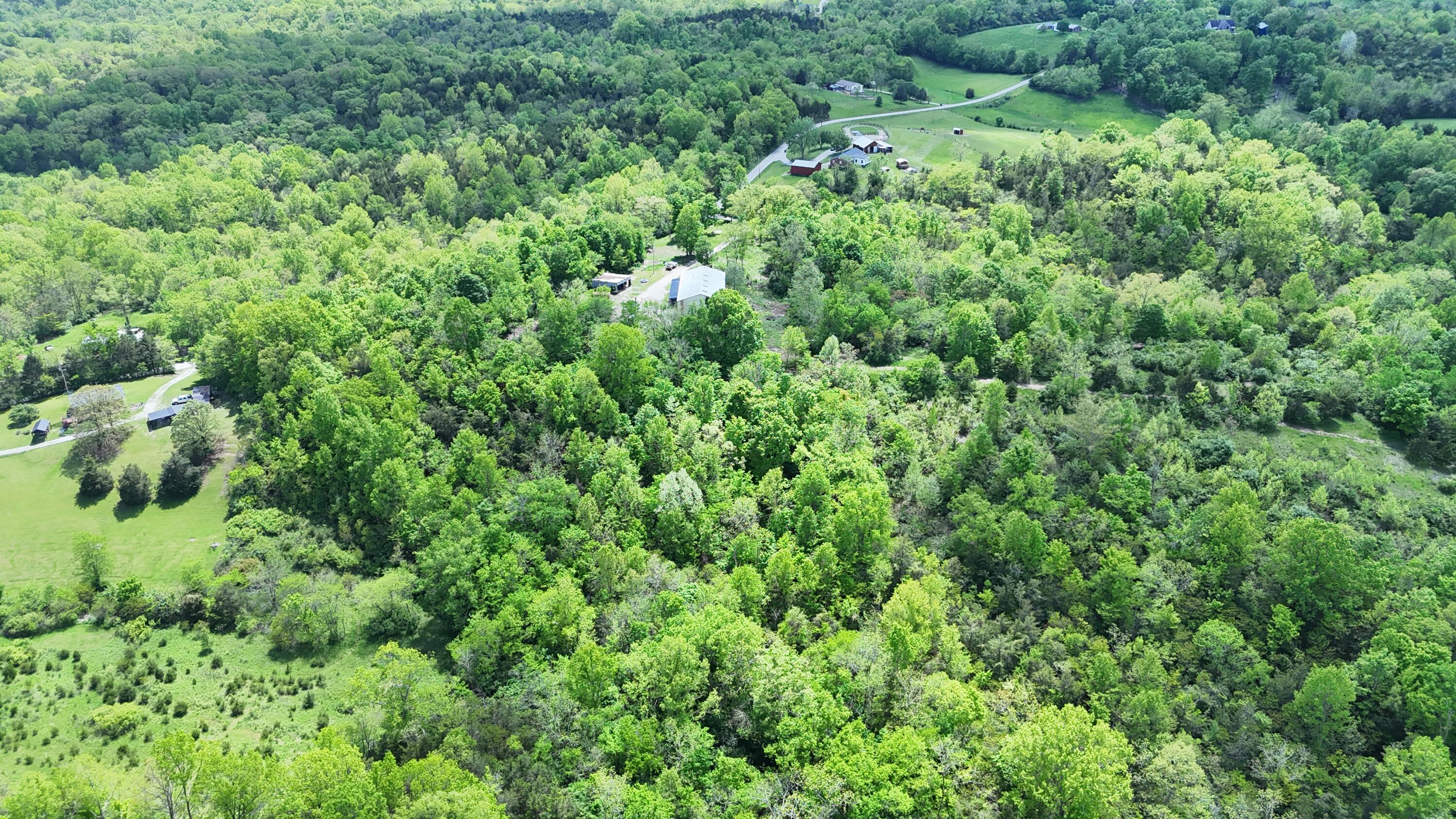 668 Short Road Property Photo 42