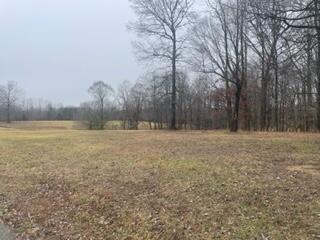 165/166 165/166 Wedge (stillwater Subd) Way Property Photo 8