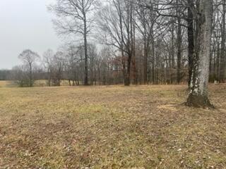 165/166 165/166 Wedge (stillwater Subd) Way Property Photo 10