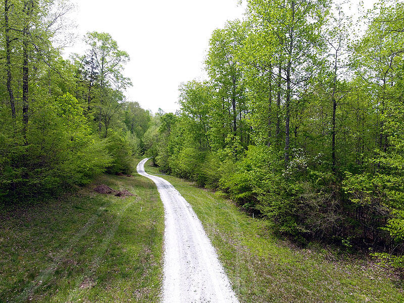 Tract 8 Dogwood Drive Property Photo 2