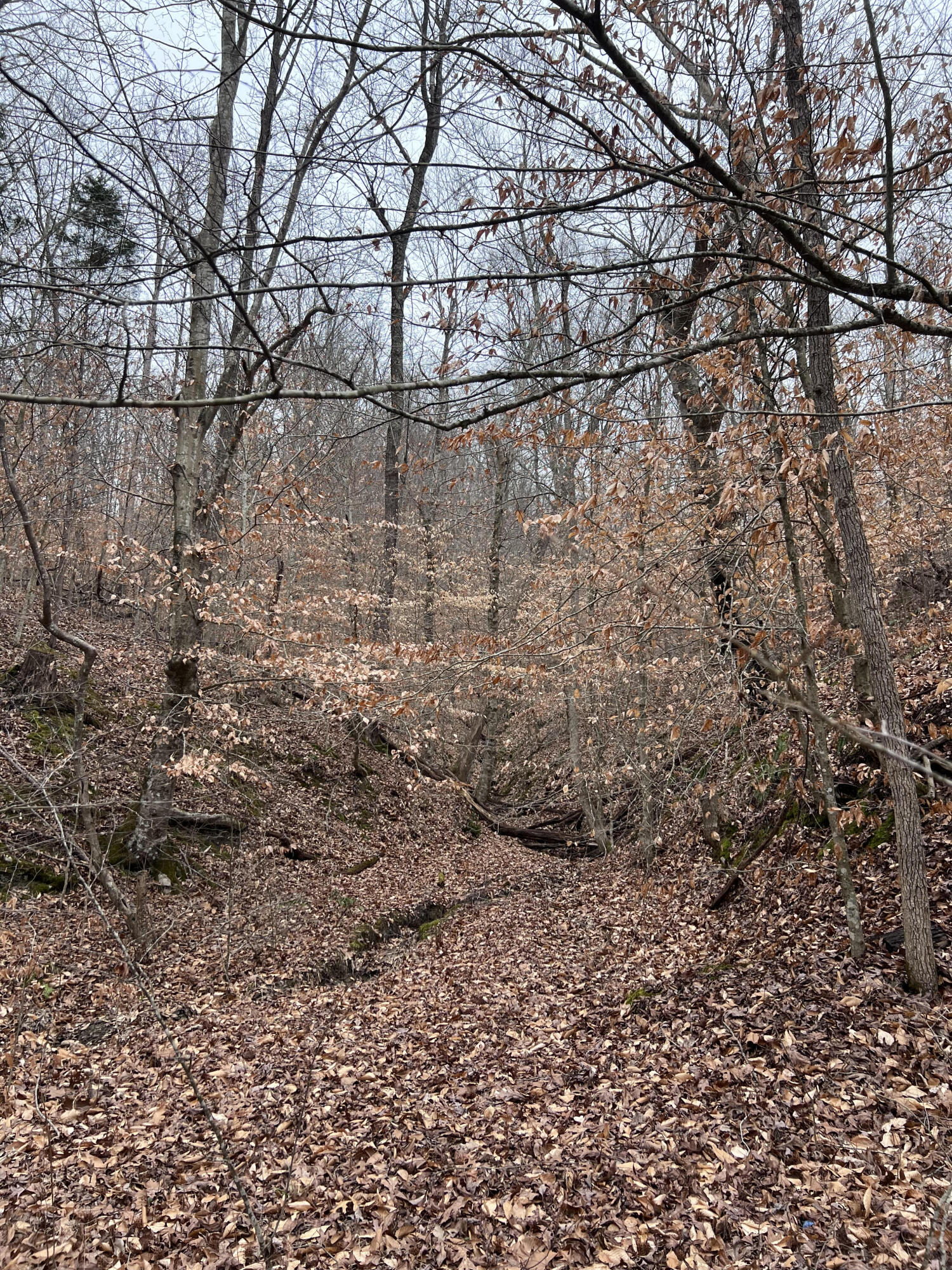 1801 2 & 3 Fisher Creek Road Property Photo