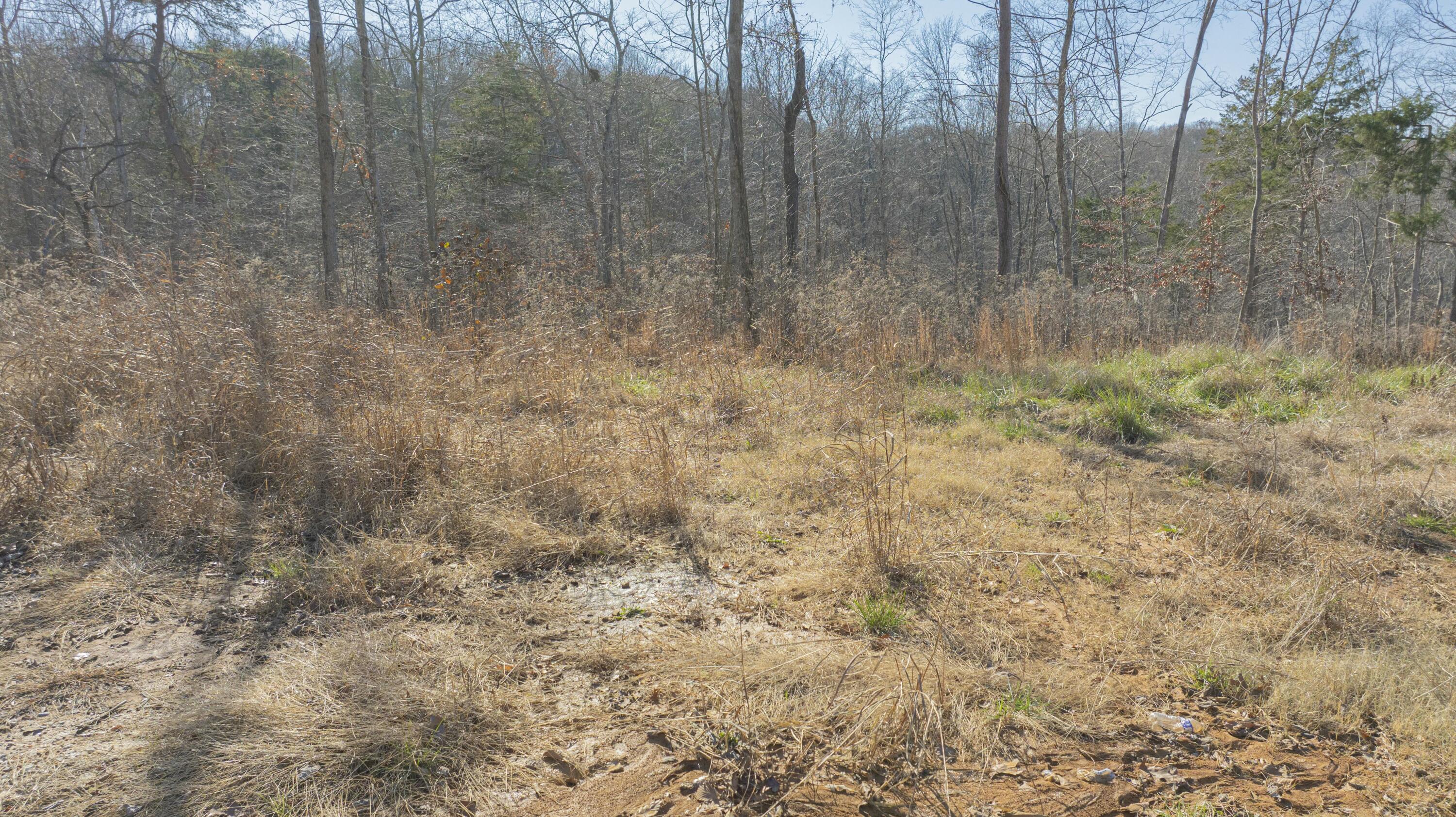012 Wake Shore Drive Property Photo 20