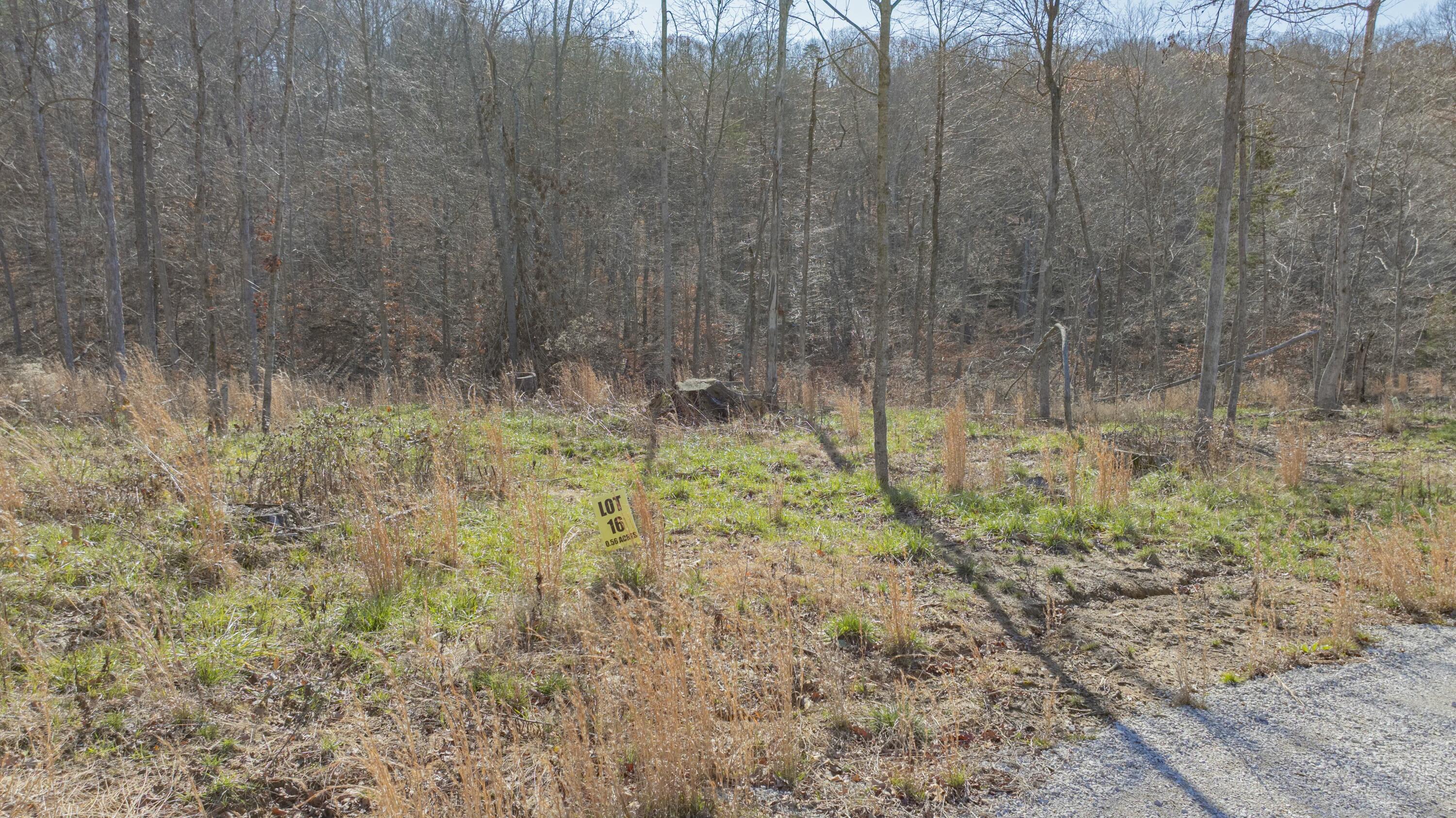 012 Wake Shore Drive Property Photo 25