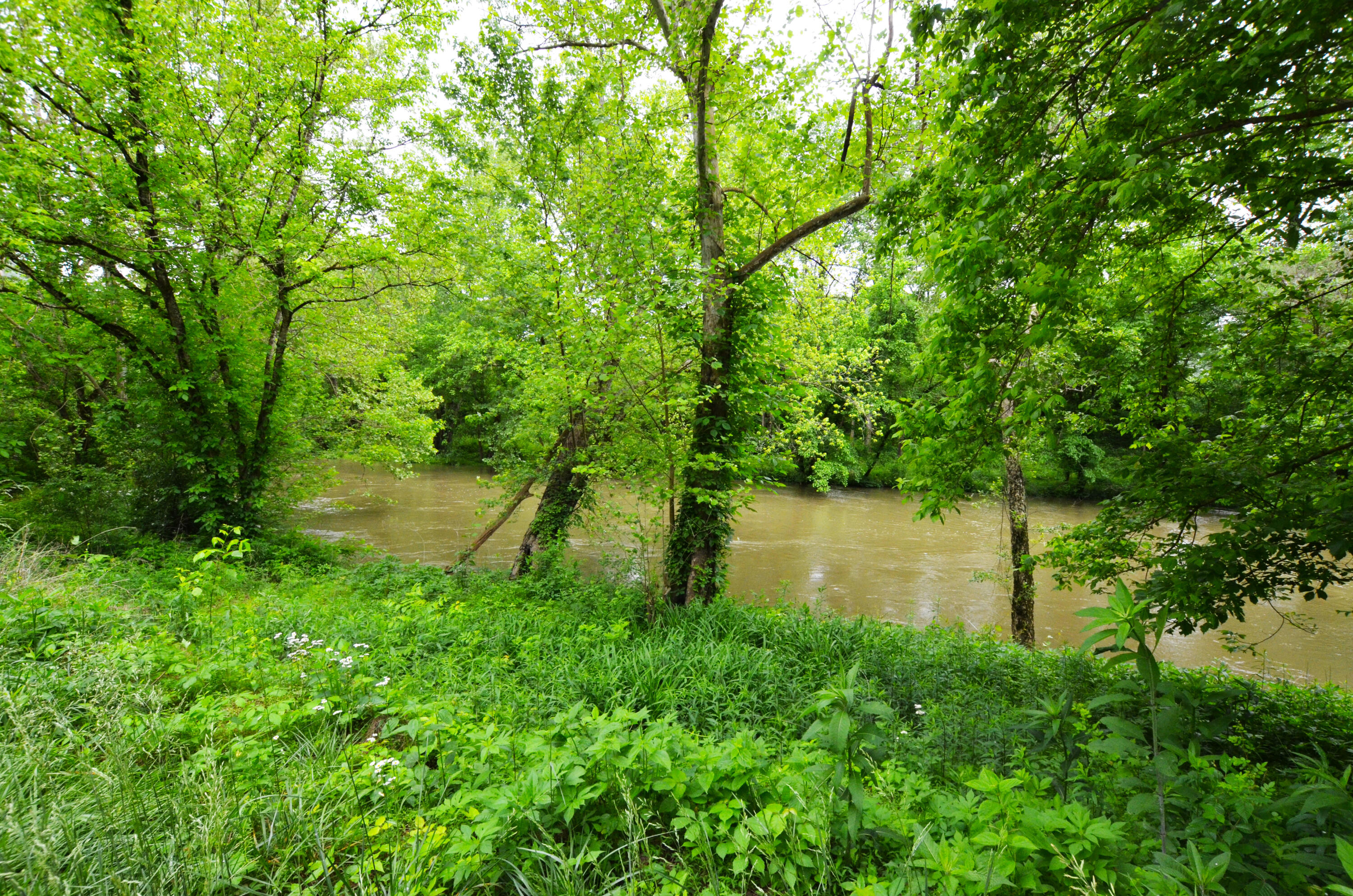 4662 Canoe Property Photo 6