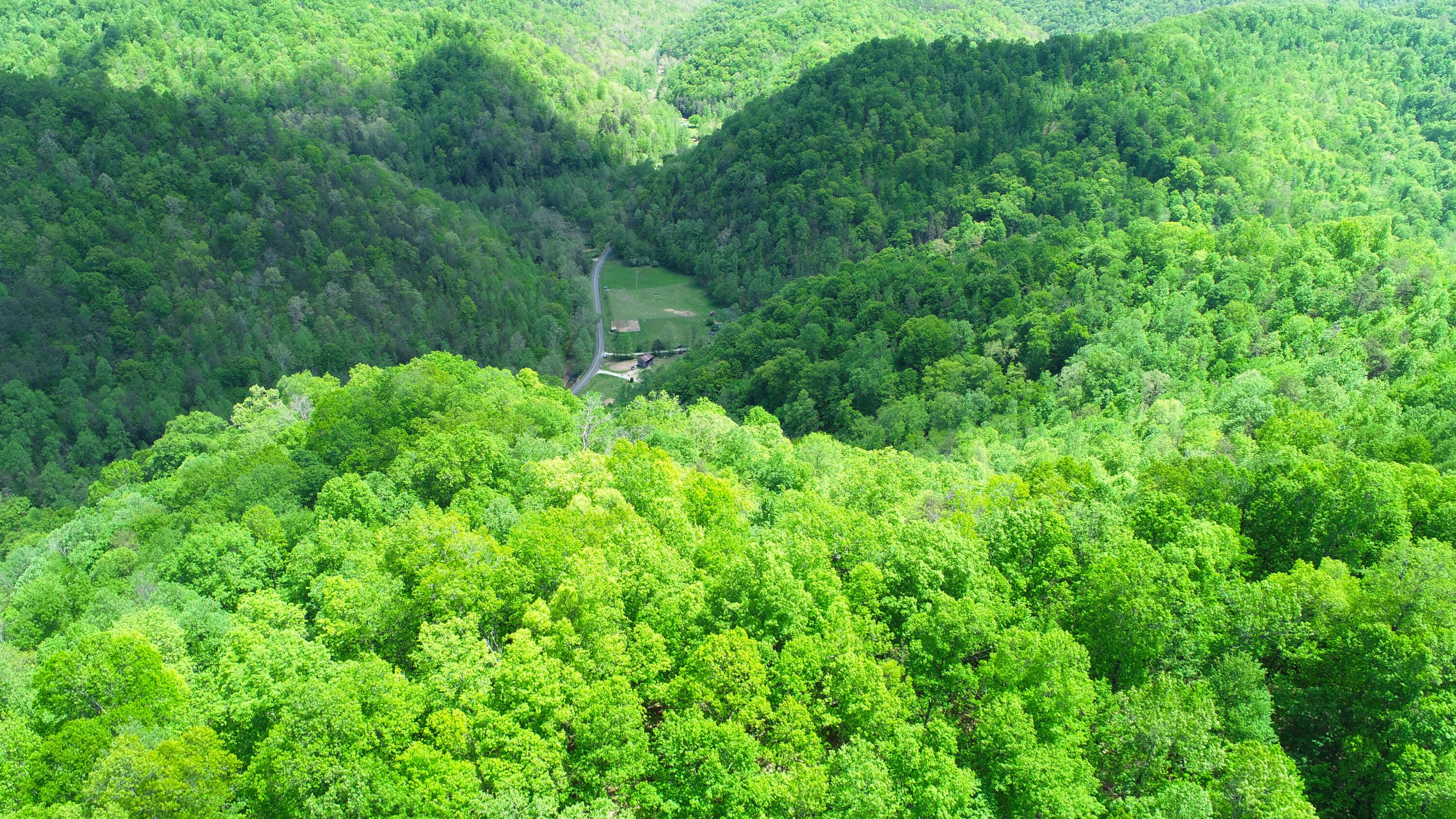 4662 Canoe Property Photo 15