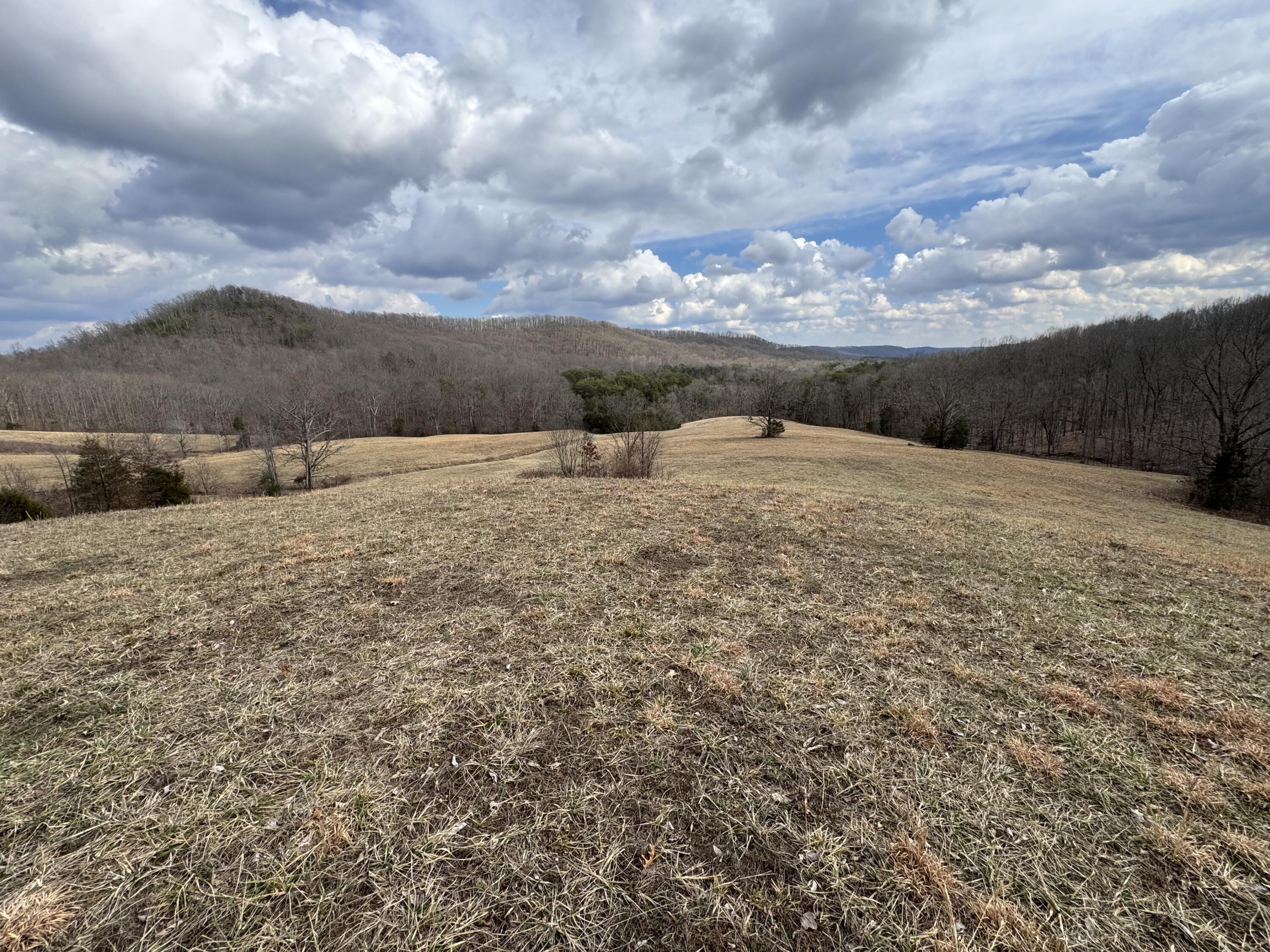 0 Ringos Mills Road Property Photo