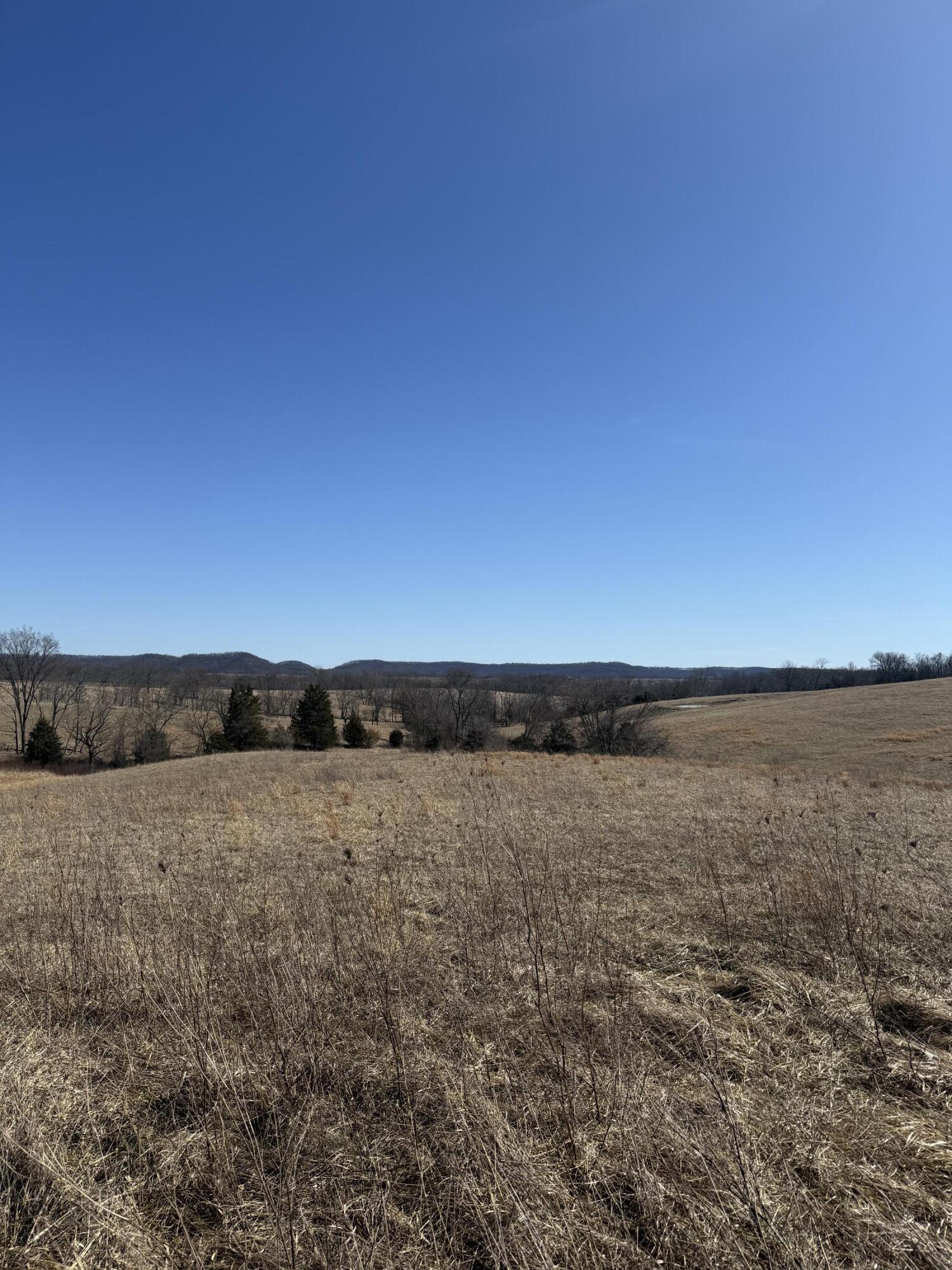 133 Tulip Poplar Lane Property Photo