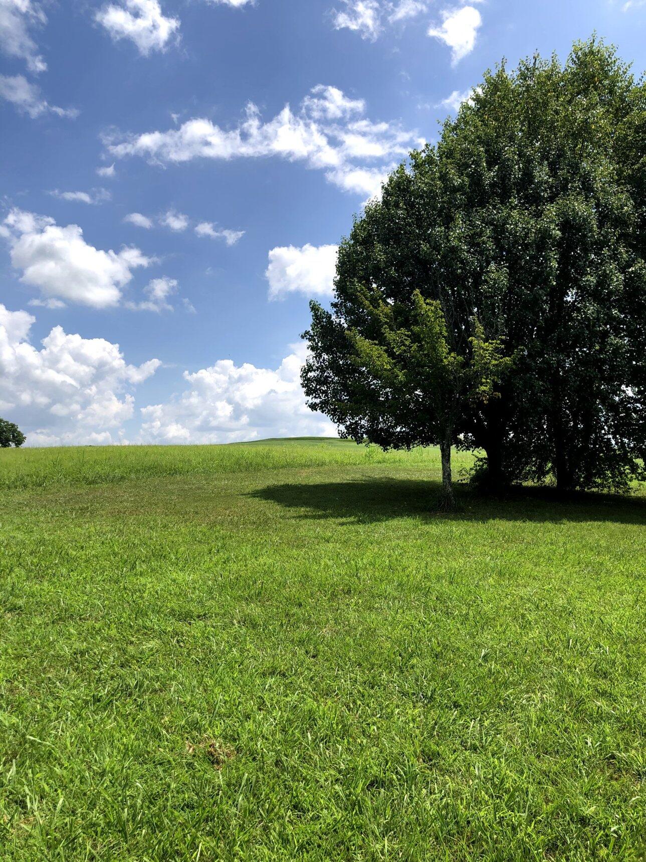 Lot 21 Section V Hunter Drive Property Photo 1