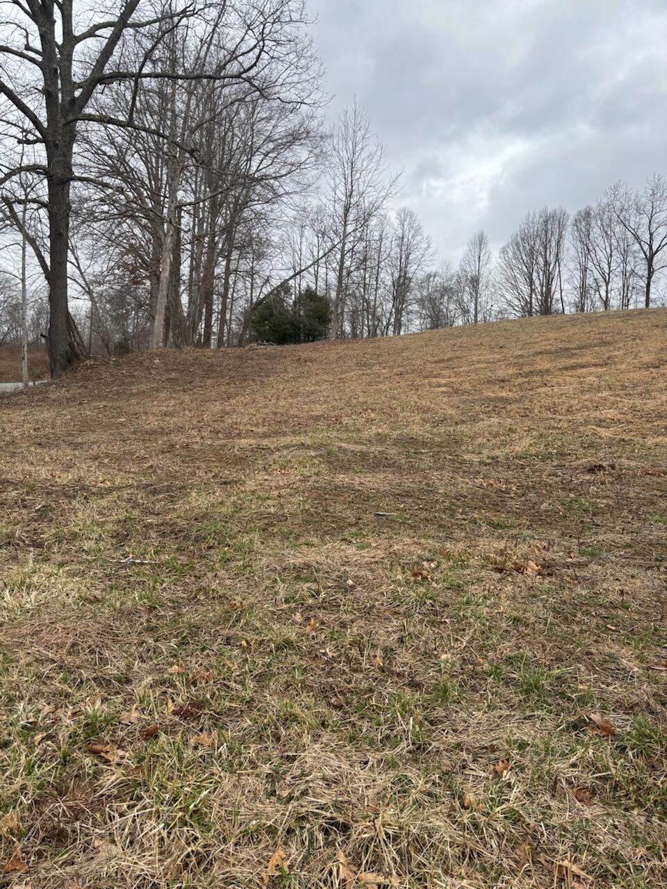 9999 Old Way Road Property Photo 3