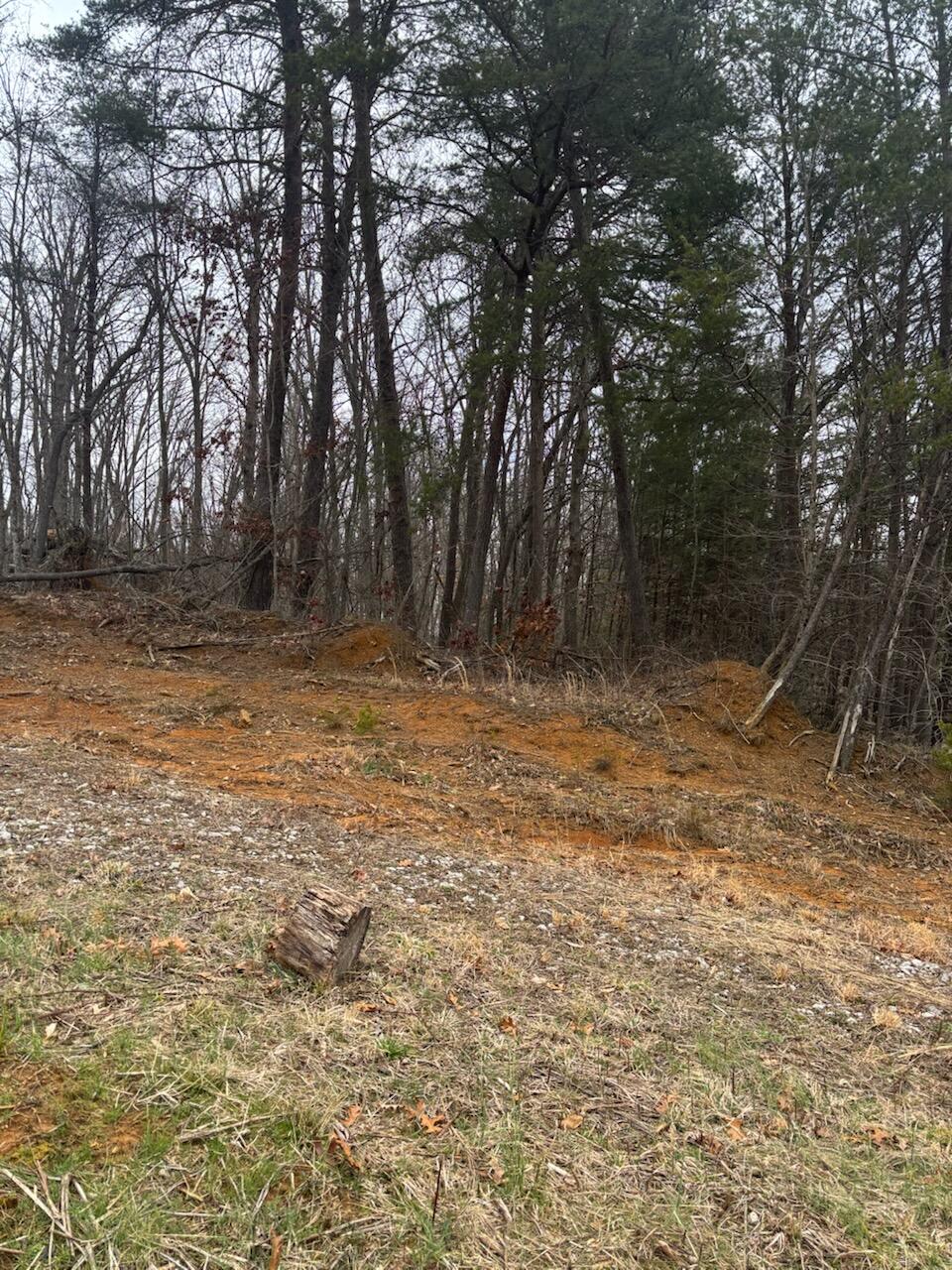 9999 Old Way Road Property Photo 4