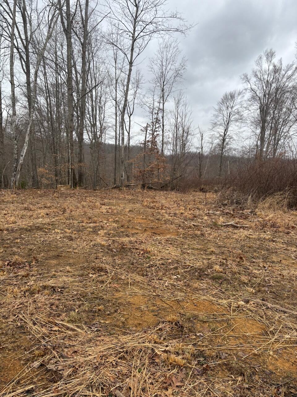 9999 Old Way Road Property Photo 6