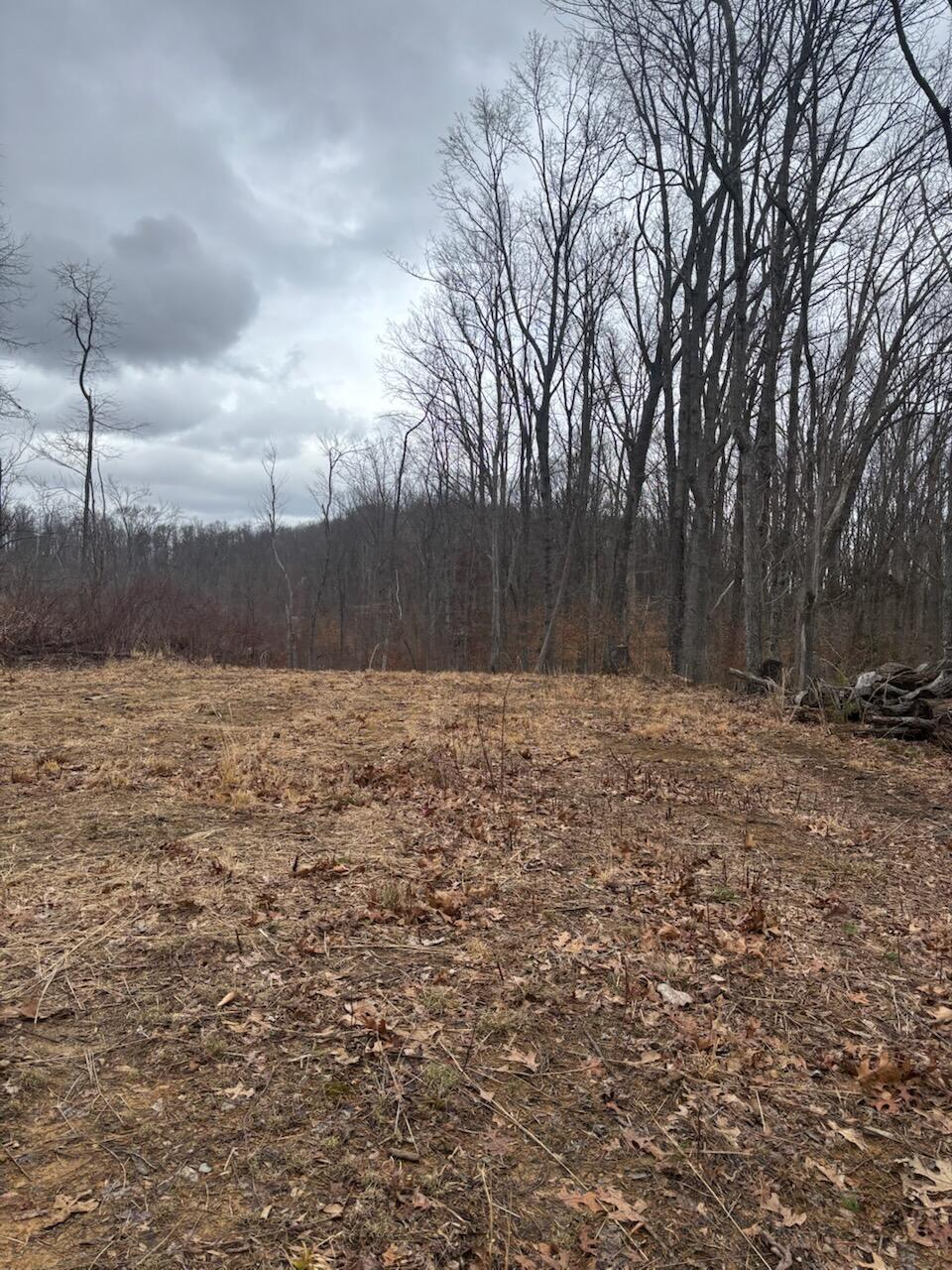 9999 Old Way Road Property Photo 7