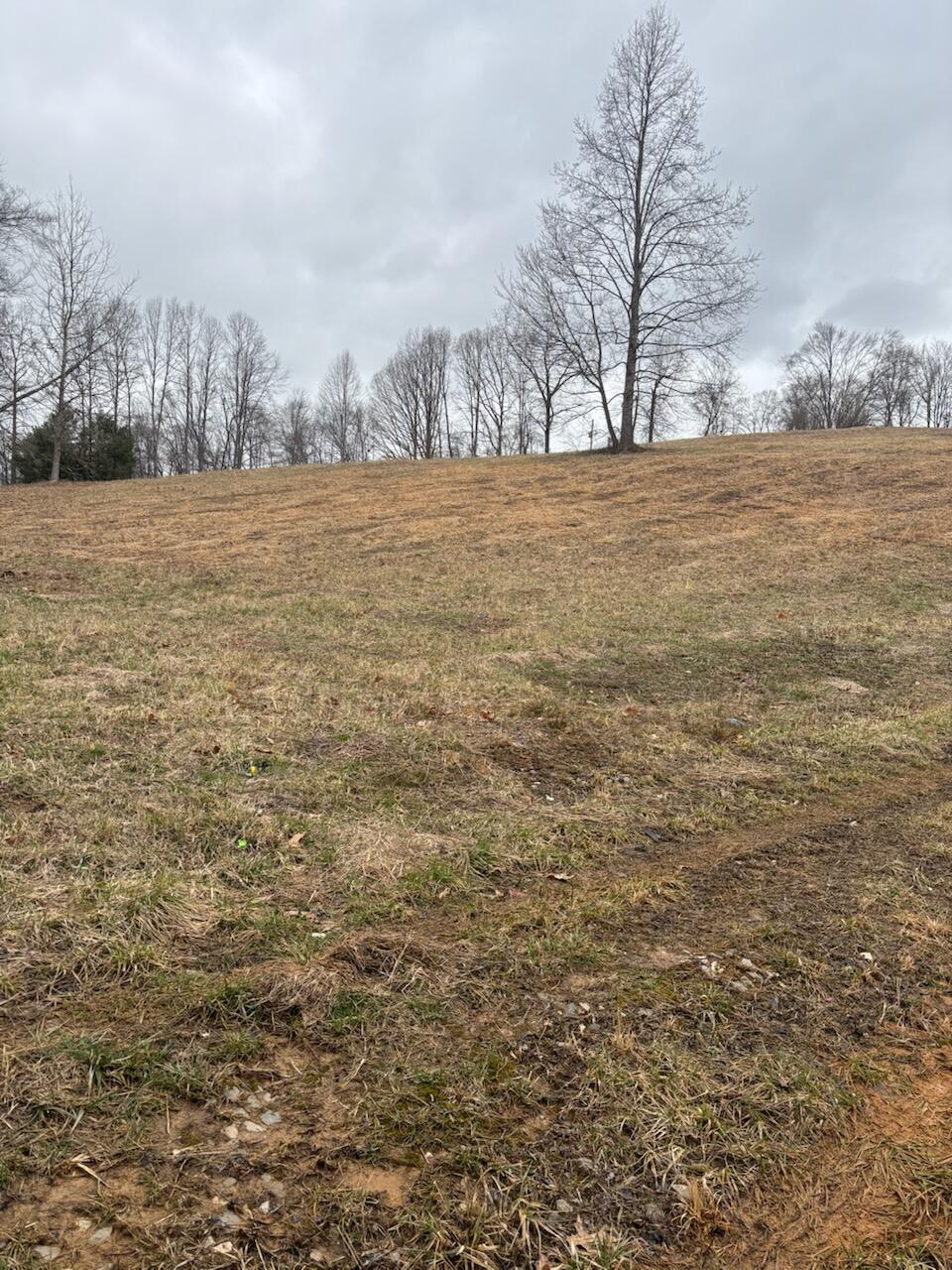 9999 Old Way Road Property Photo 12