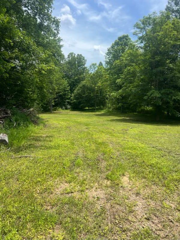 450 Ky Hwy 542 Property Photo 7