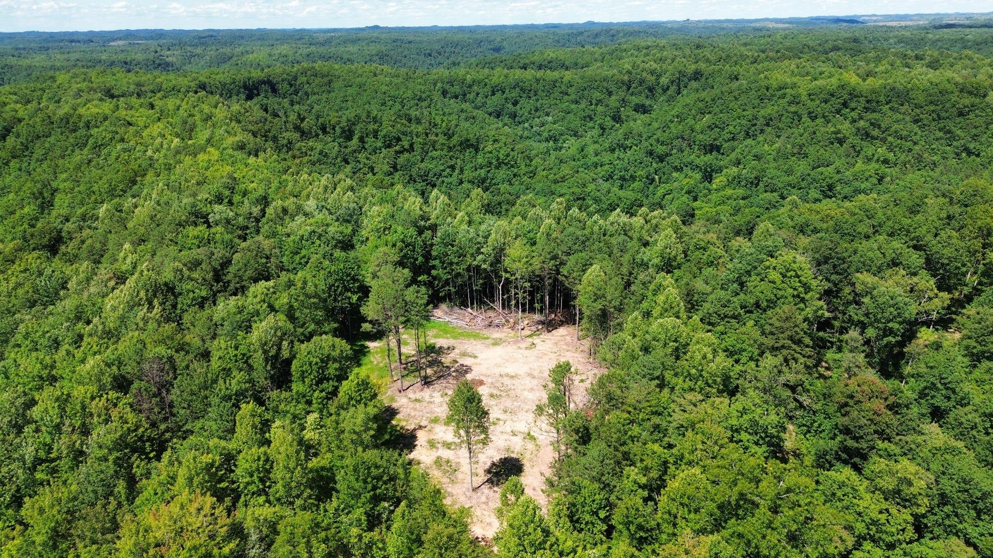 450 Ky Hwy 542 Property Photo 10