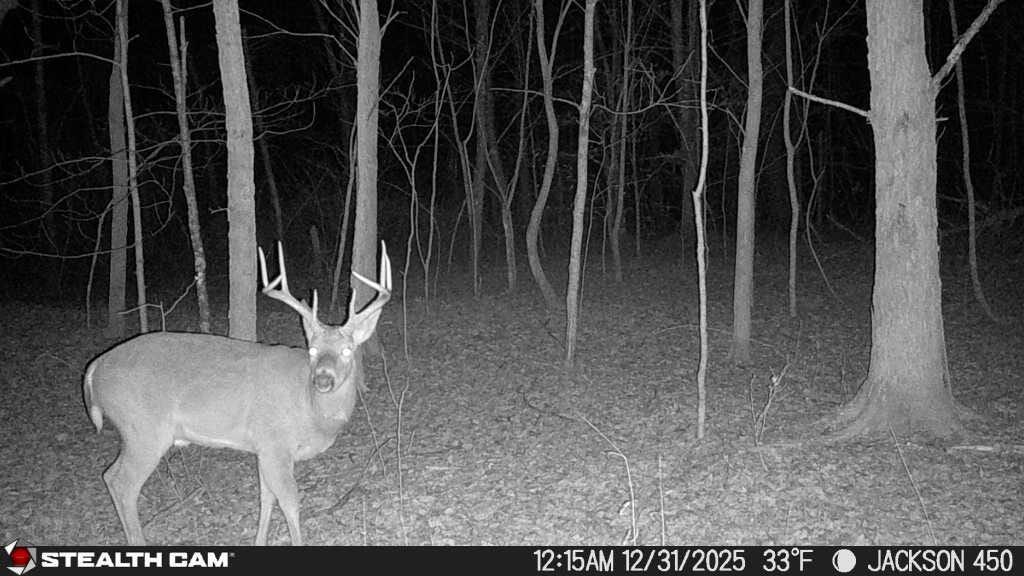 450 Ky Hwy 542 Property Photo 31