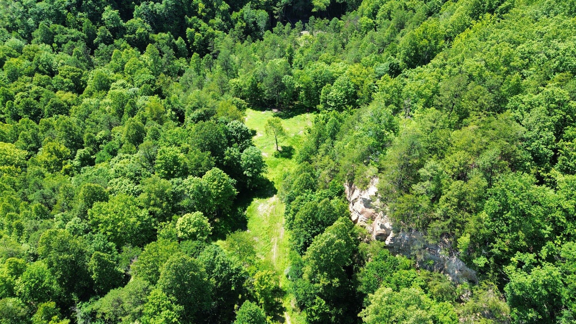 450 Ky Hwy 542 Property Photo 34