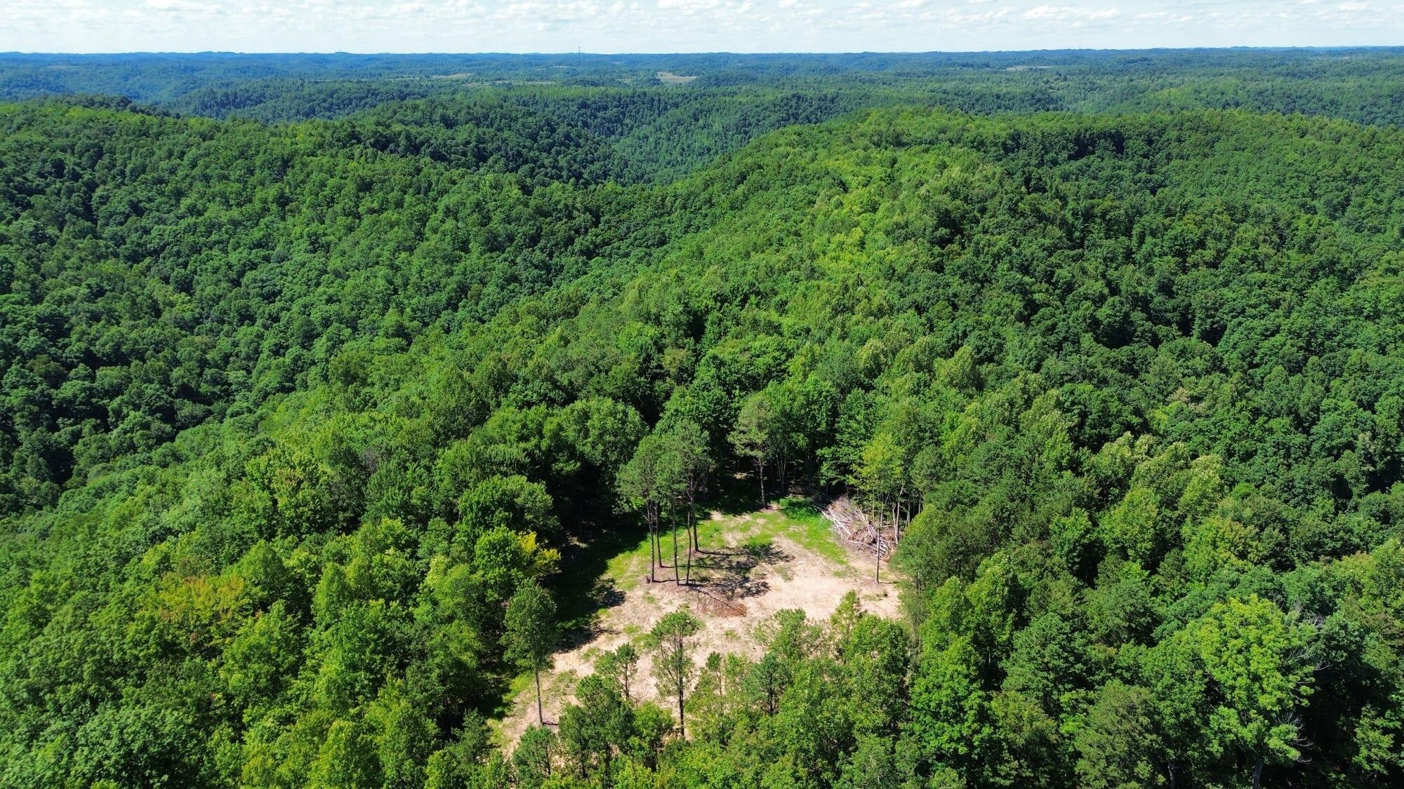 450 Ky Hwy 542 Property Photo 44