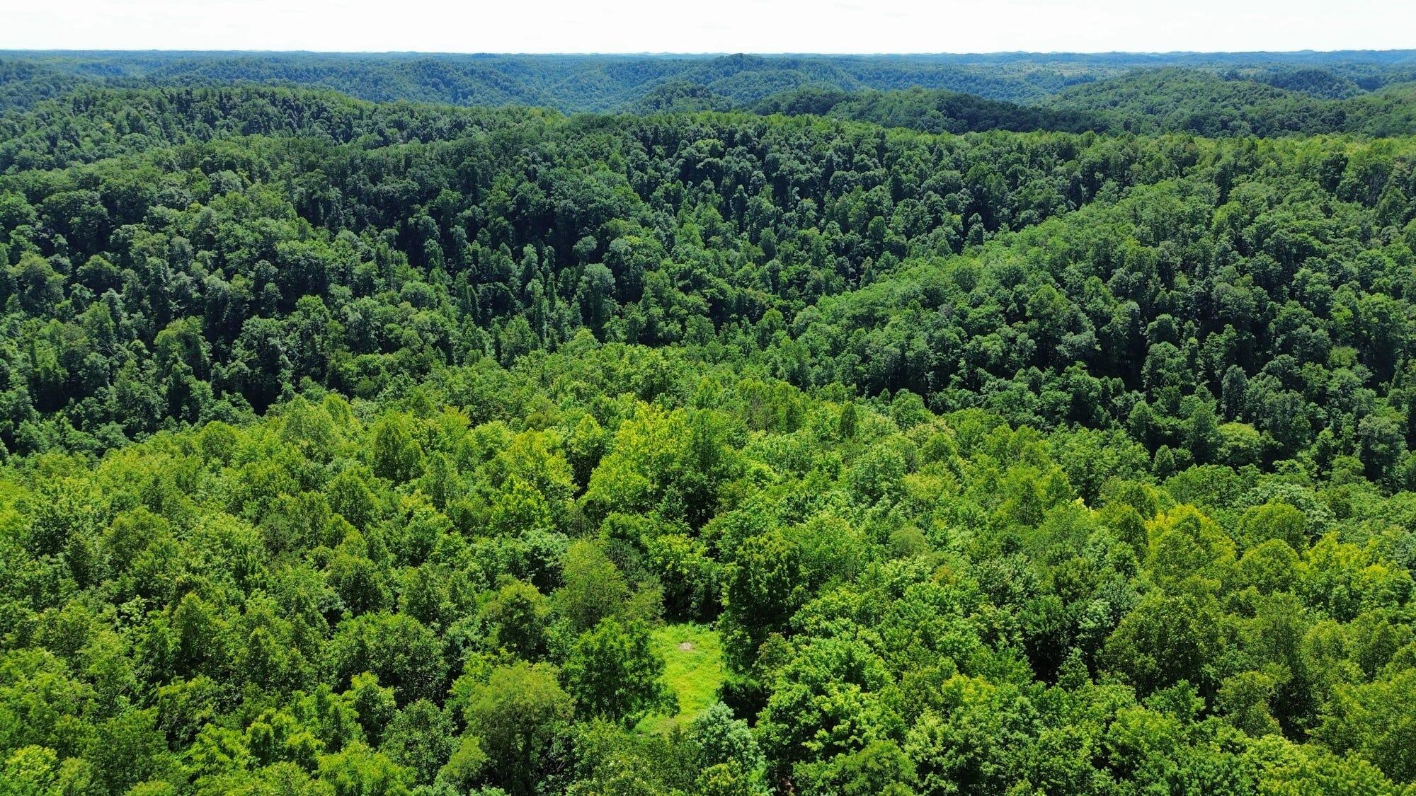450 Ky Hwy 542 Property Photo 46