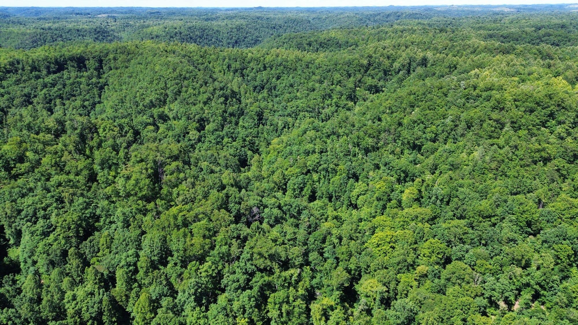 450 Ky Hwy 542 Property Photo 64