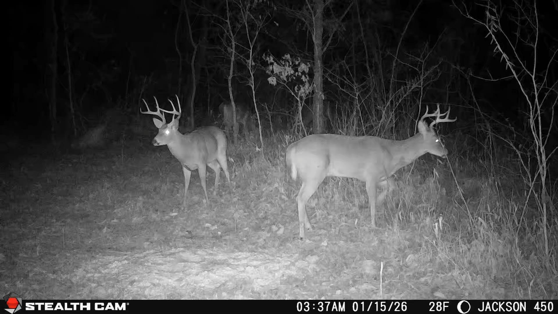 450 Ky Hwy 542 Property Photo 69
