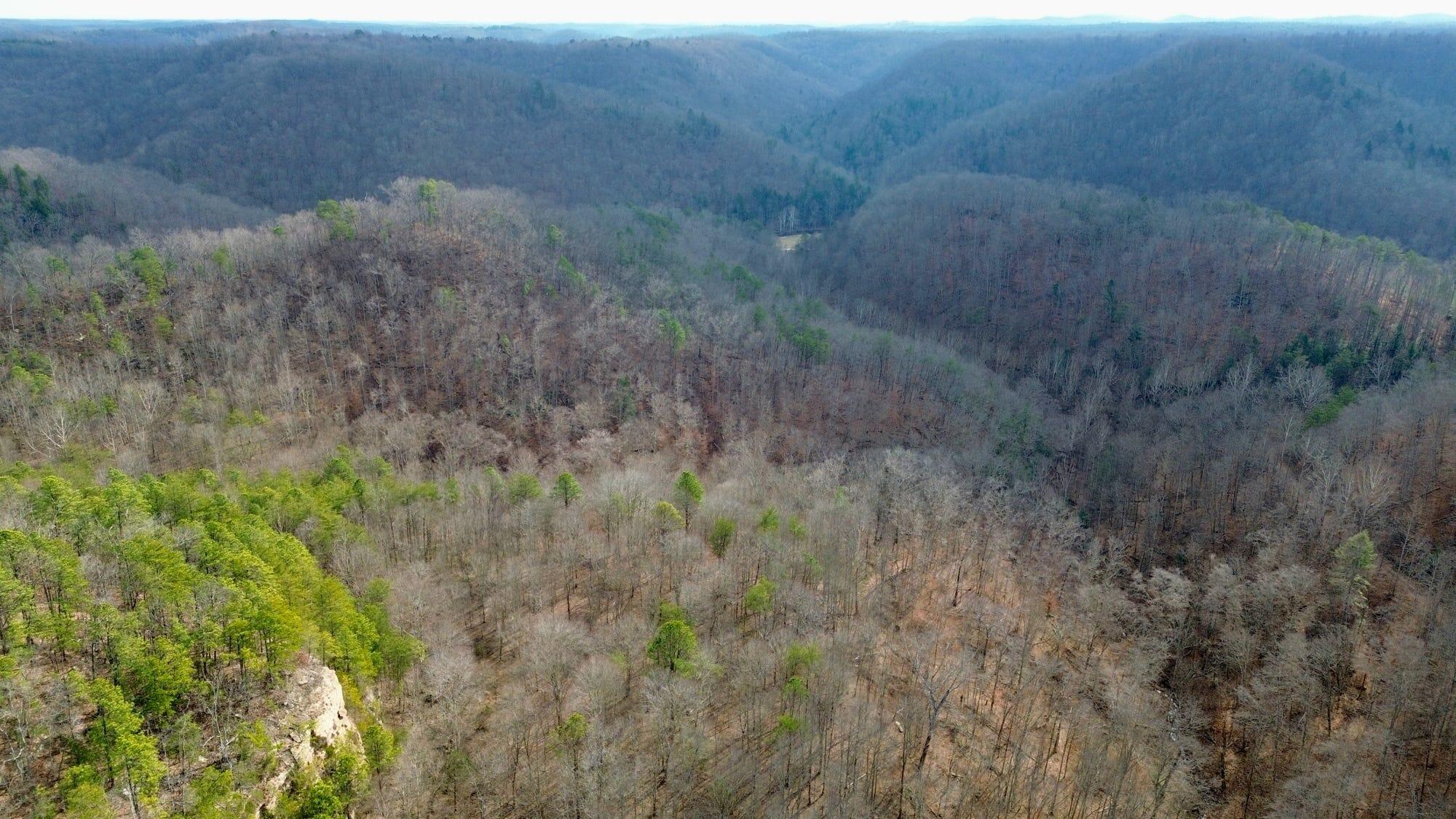 450 Ky Hwy 542 Property Photo 88