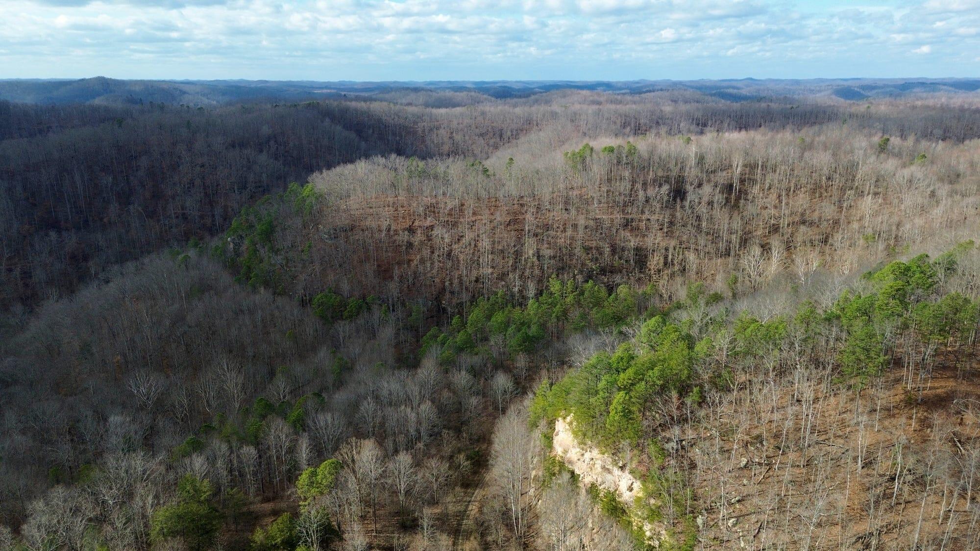 450 Ky Hwy 542 Property Photo 90