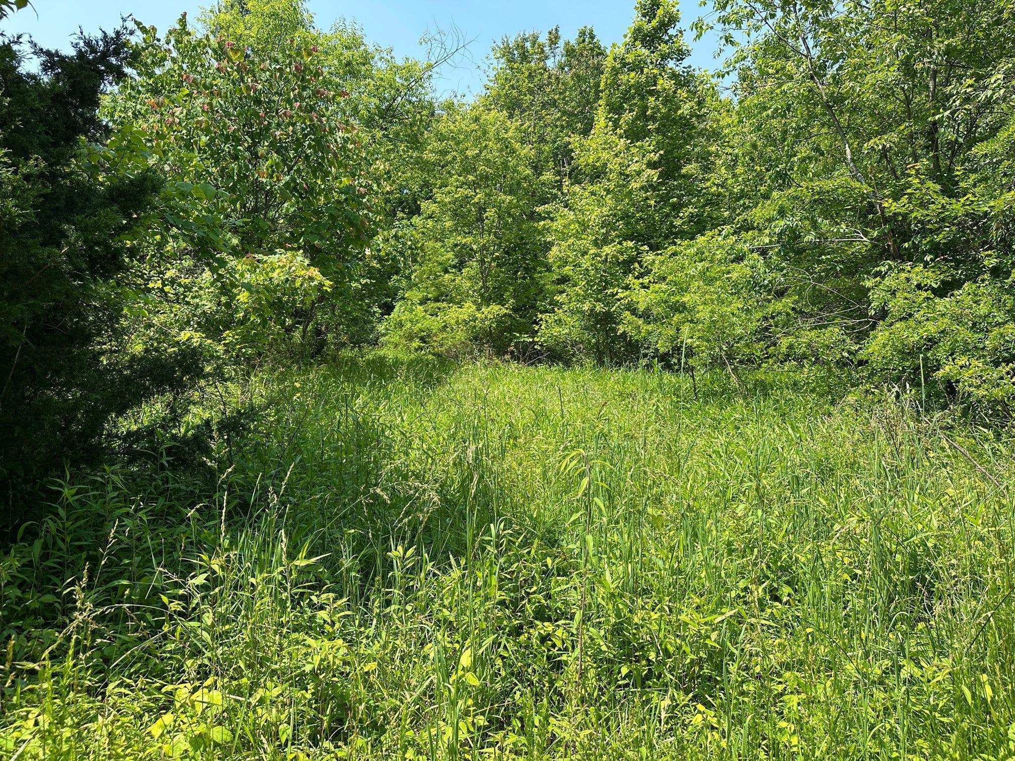 450 Ky Hwy 542 Property Photo 106