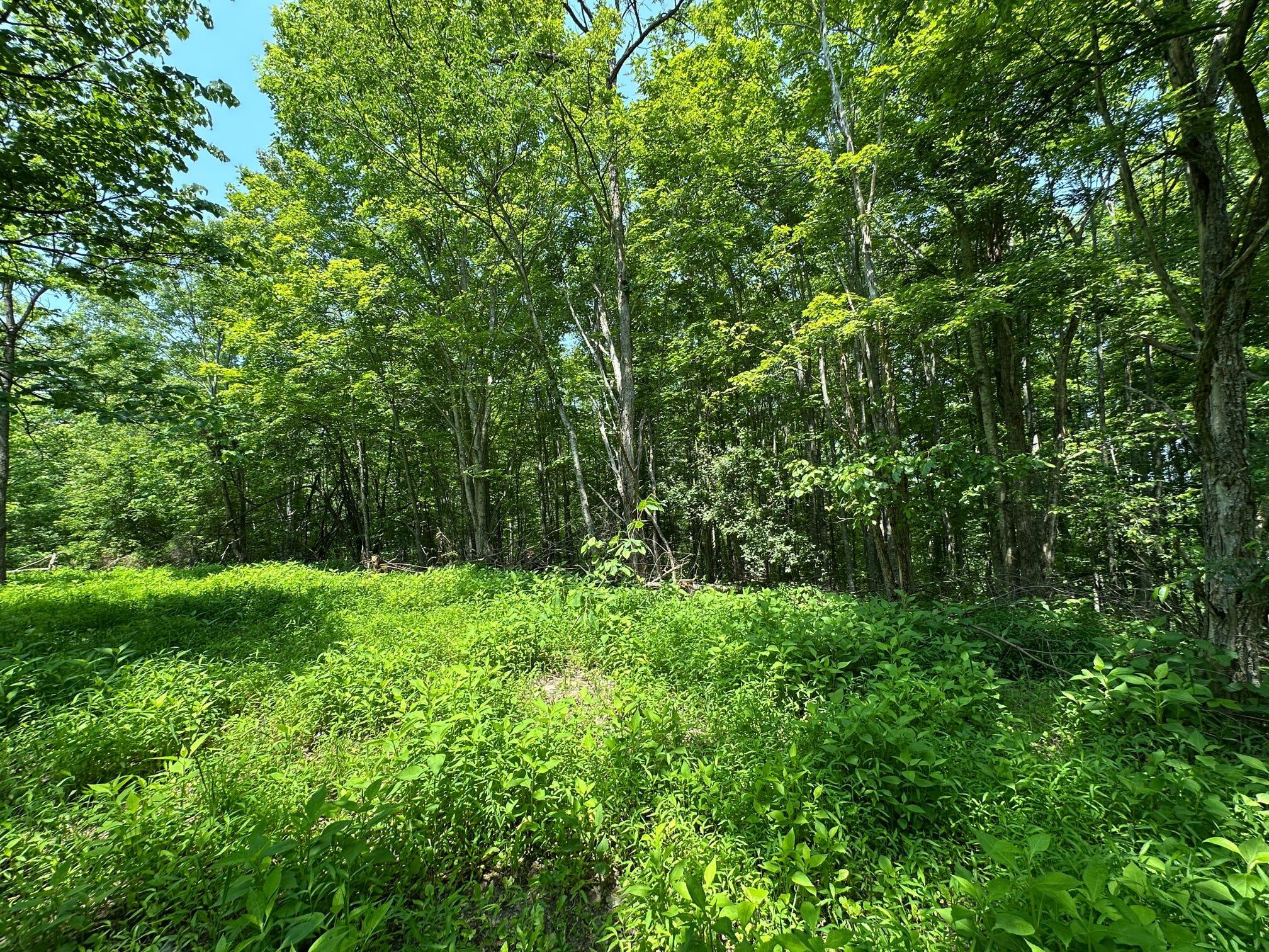 450 Ky Hwy 542 Property Photo 112