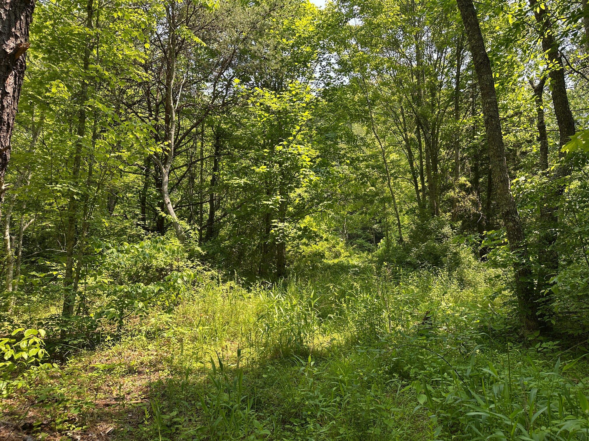 450 Ky Hwy 542 Property Photo 113