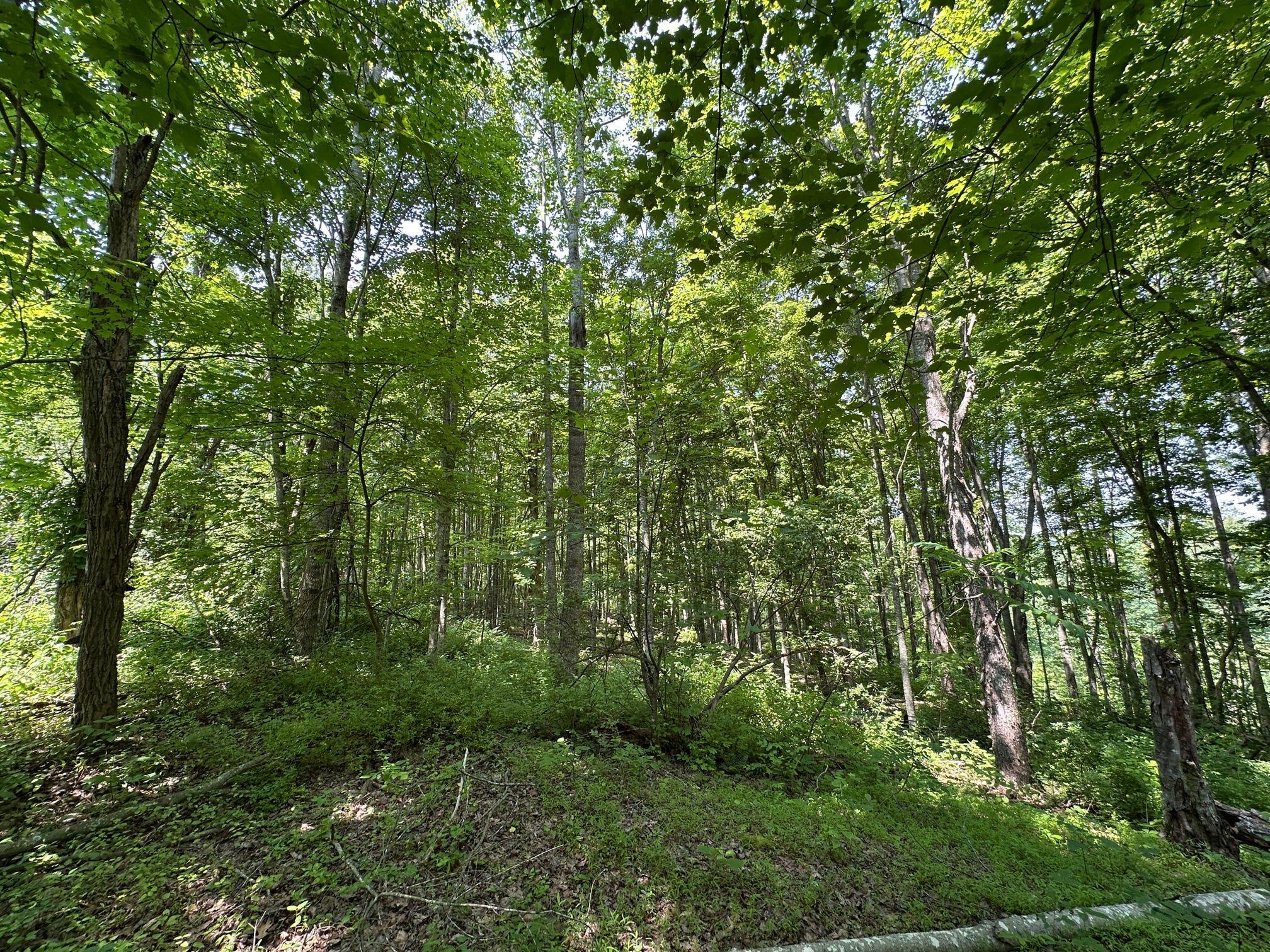 450 Ky Hwy 542 Property Photo 123