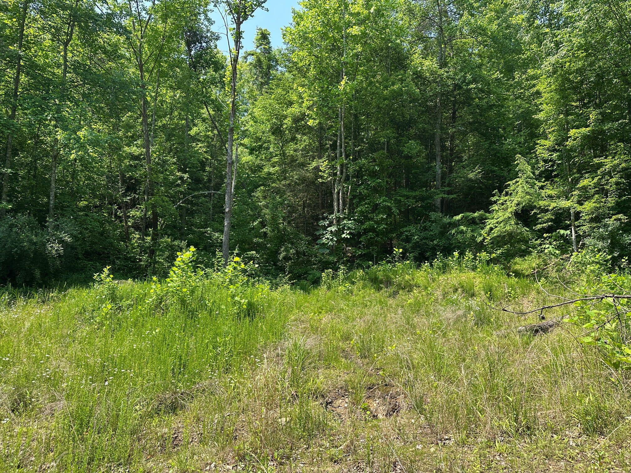 450 Ky Hwy 542 Property Photo 132