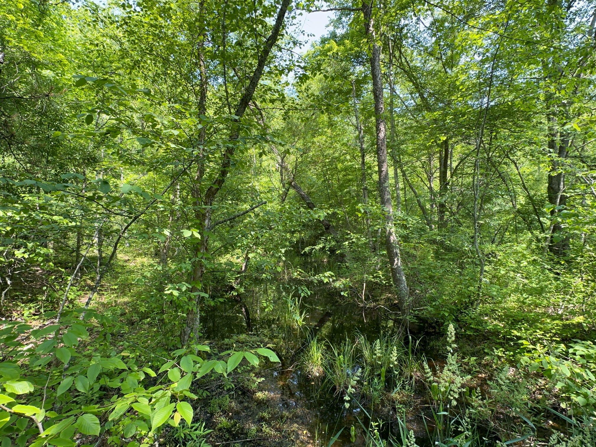450 Ky Hwy 542 Property Photo 144