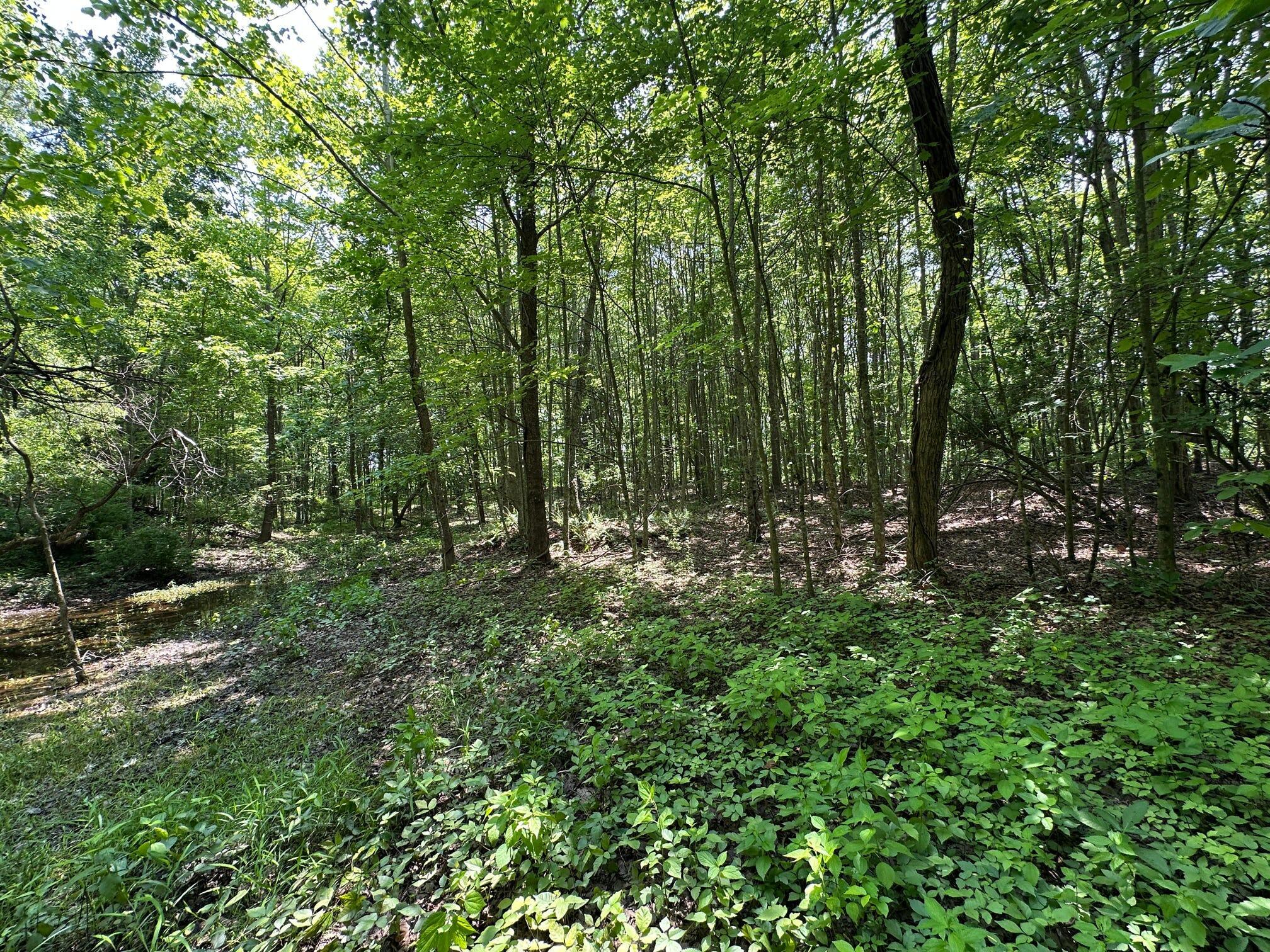 450 Ky Hwy 542 Property Photo 155