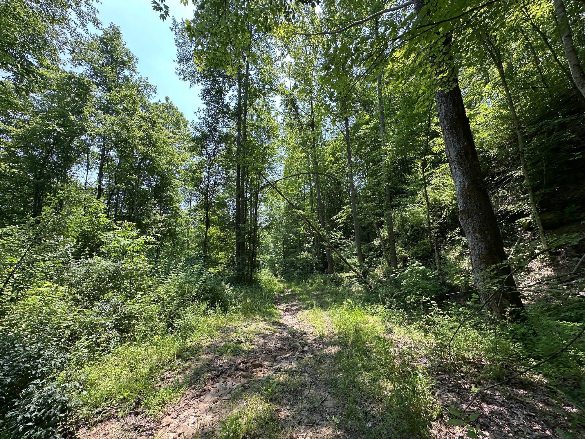 450 Ky Hwy 542 Property Photo 156