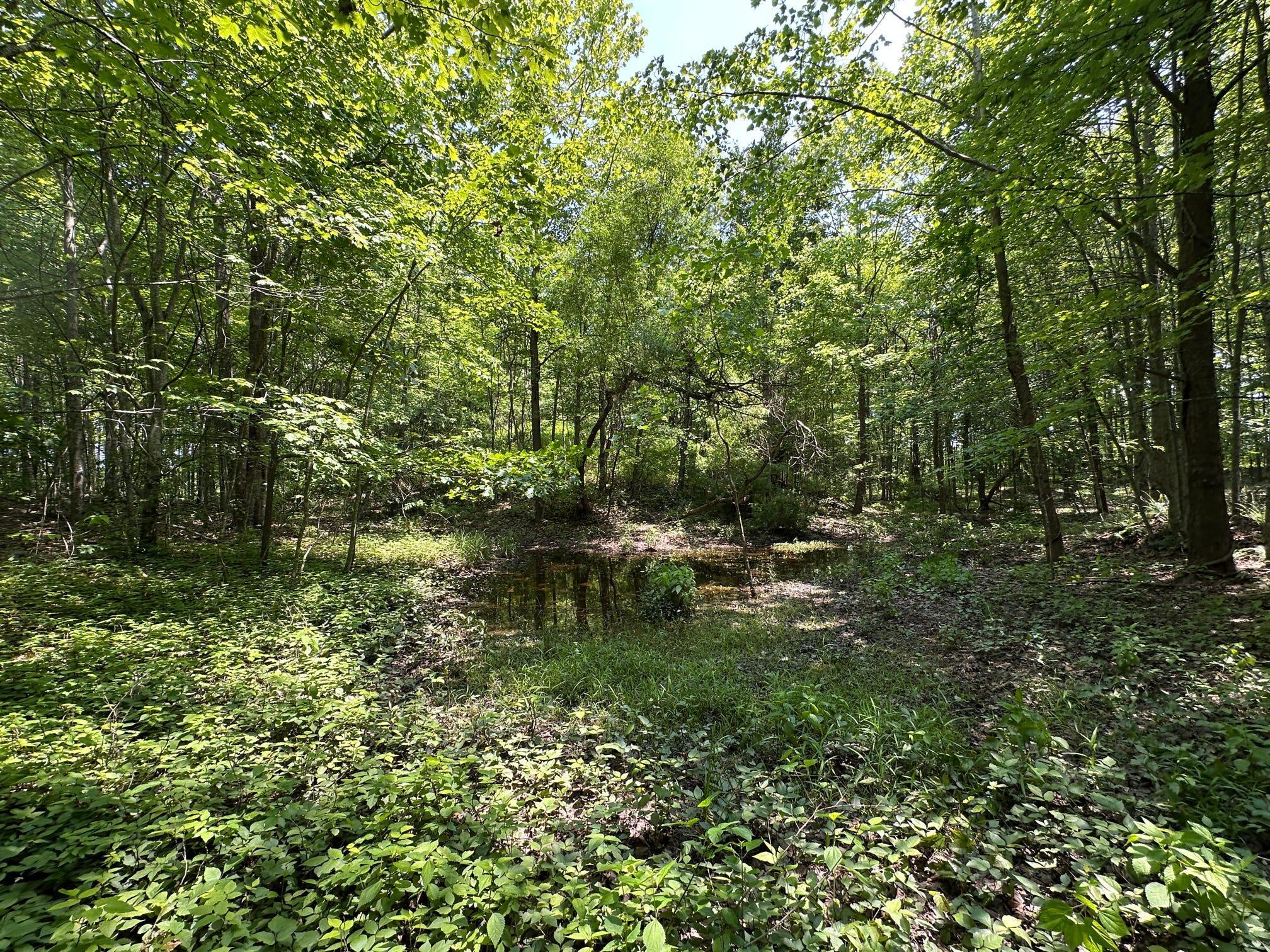 450 Ky Hwy 542 Property Photo 163