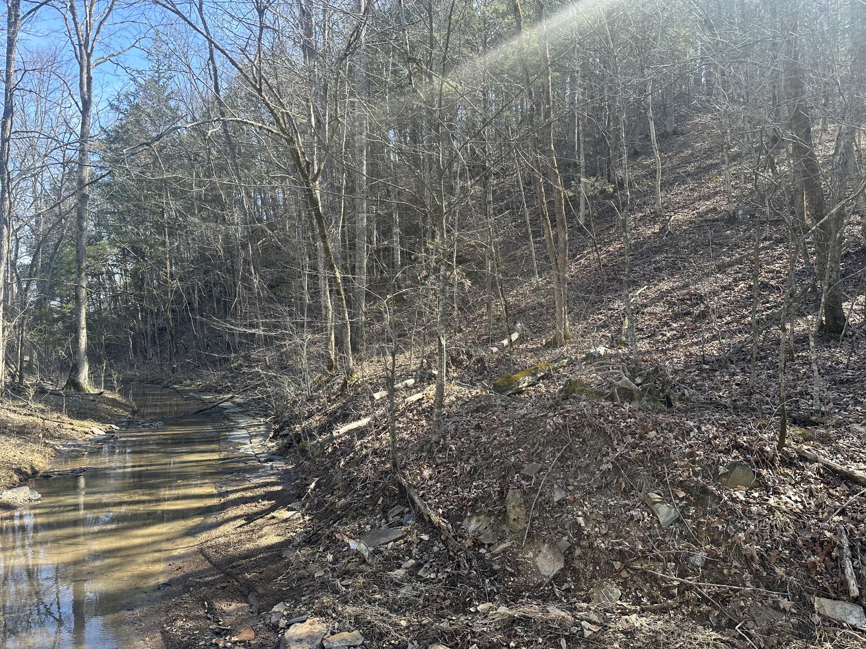 43 Acres Hominy Creek Road Property Photo 1