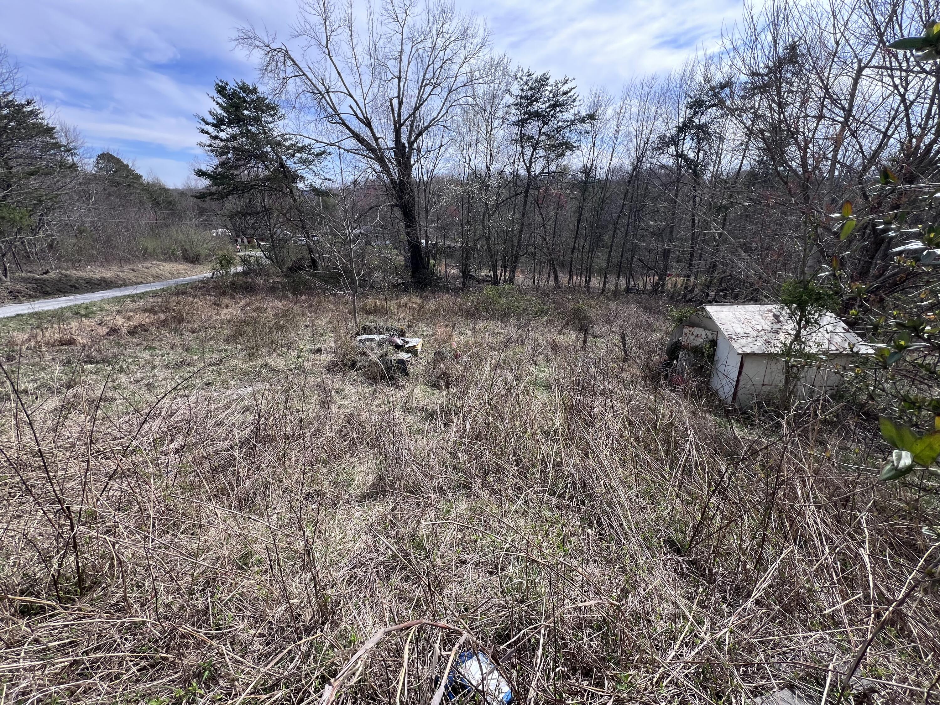 310 Liberty Cemetery Road Property Photo 5