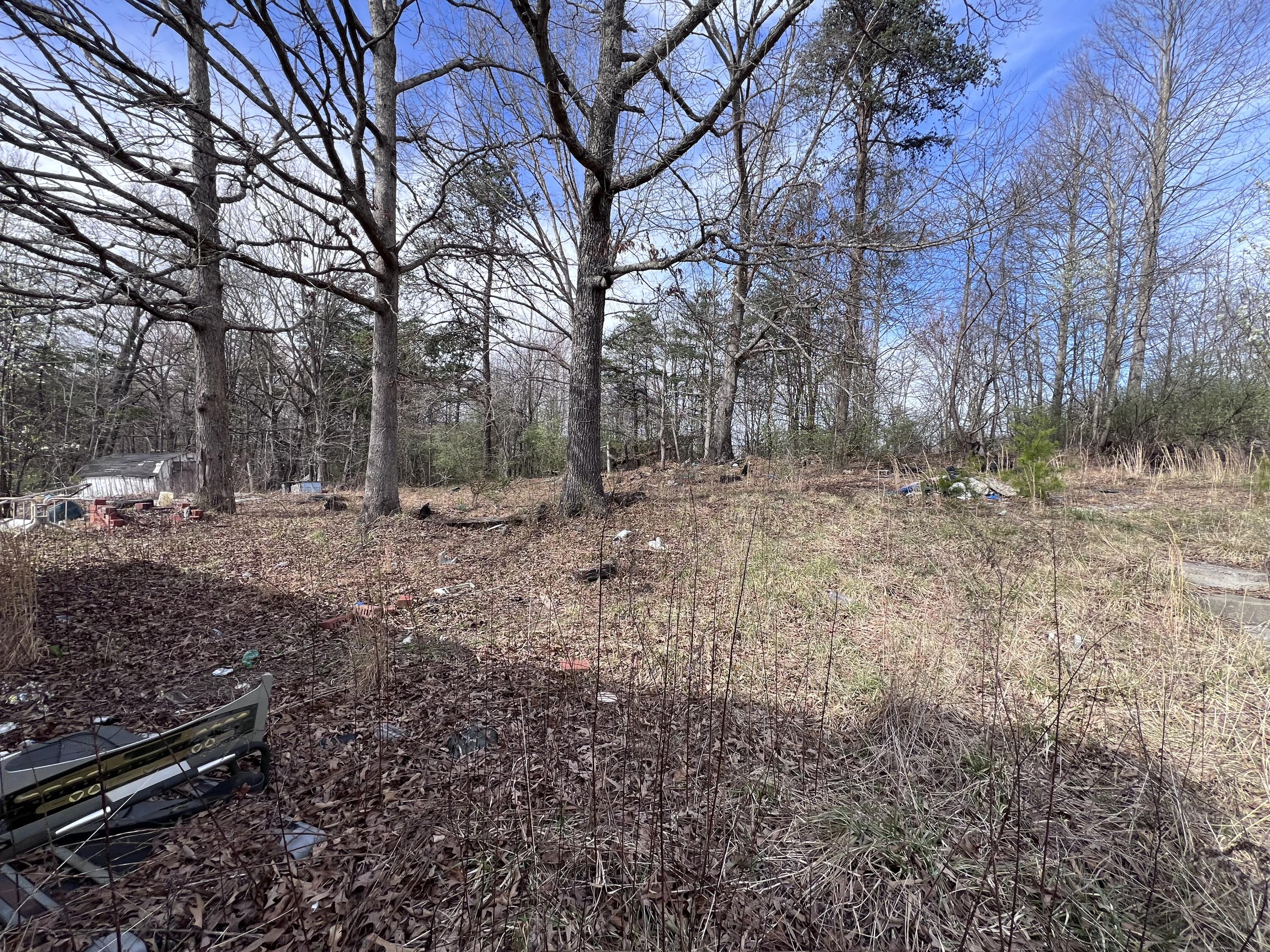310 Liberty Cemetery Road Property Photo 6