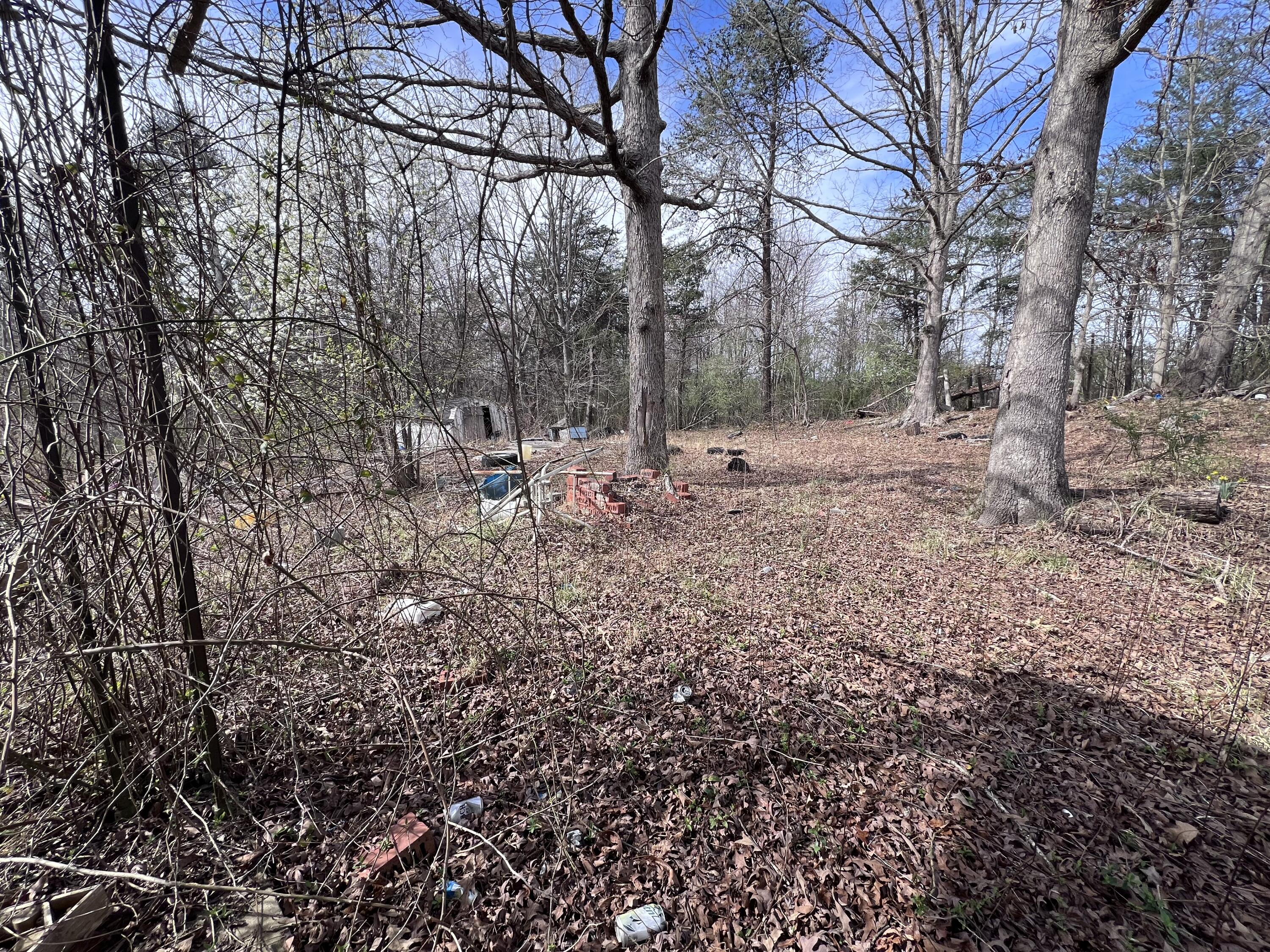 310 Liberty Cemetery Road Property Photo 8