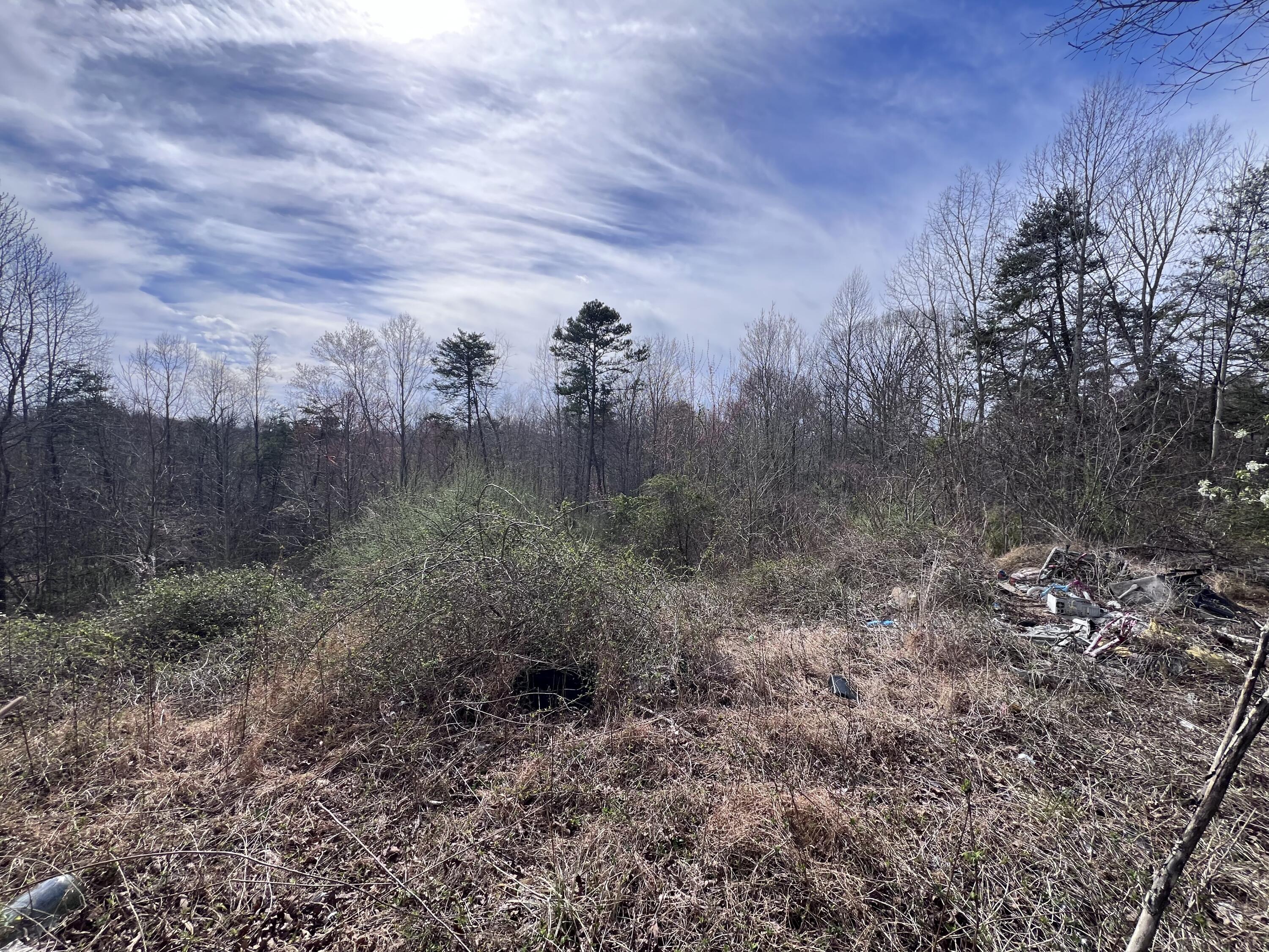 310 Liberty Cemetery Road Property Photo 9