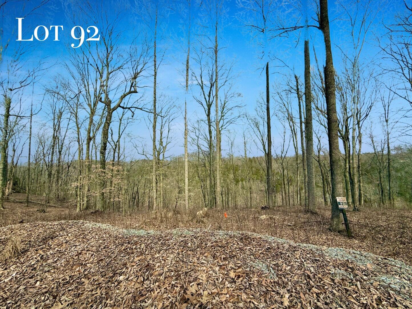 Lot 92 Cascade Circle Property Photo 1