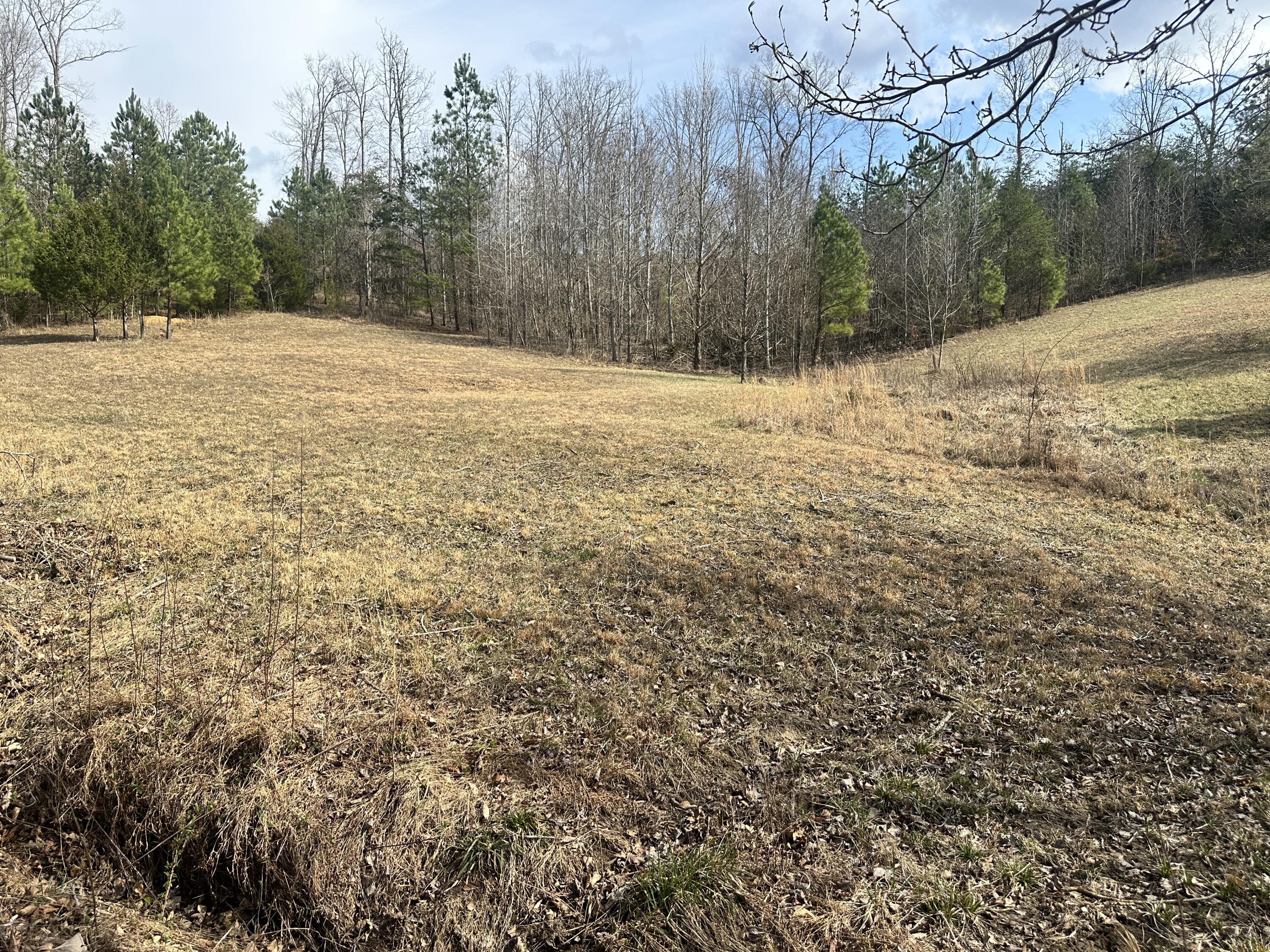 Lot 12 Tom O'ryan Road Property Photo 1
