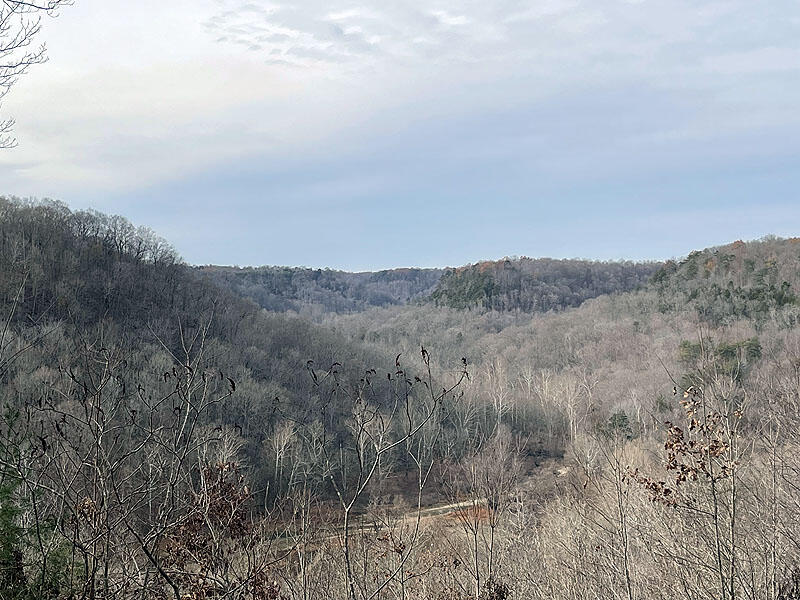 Lot 145 Stillwater Property Photo 1