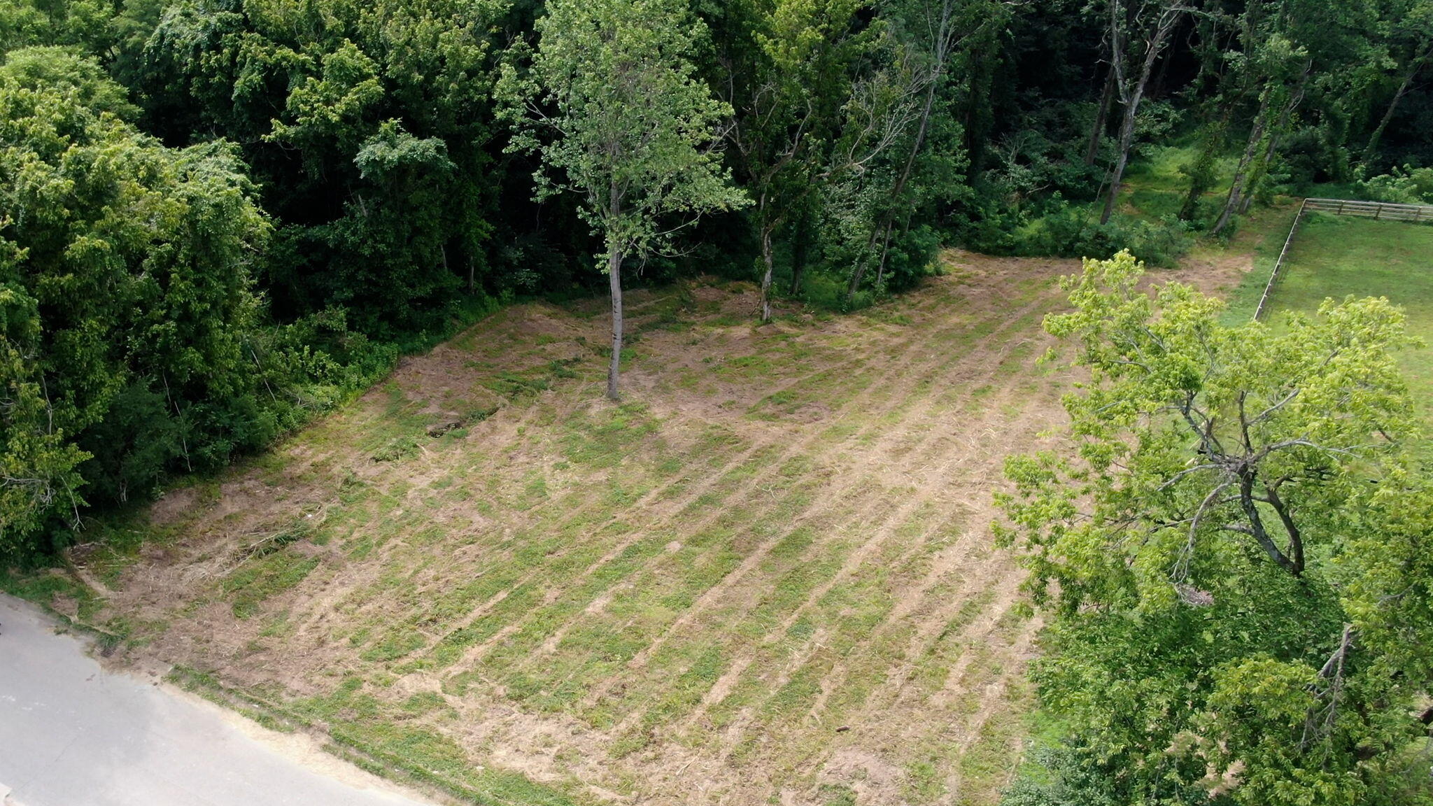 1027 Morris Drive Property Photo 5