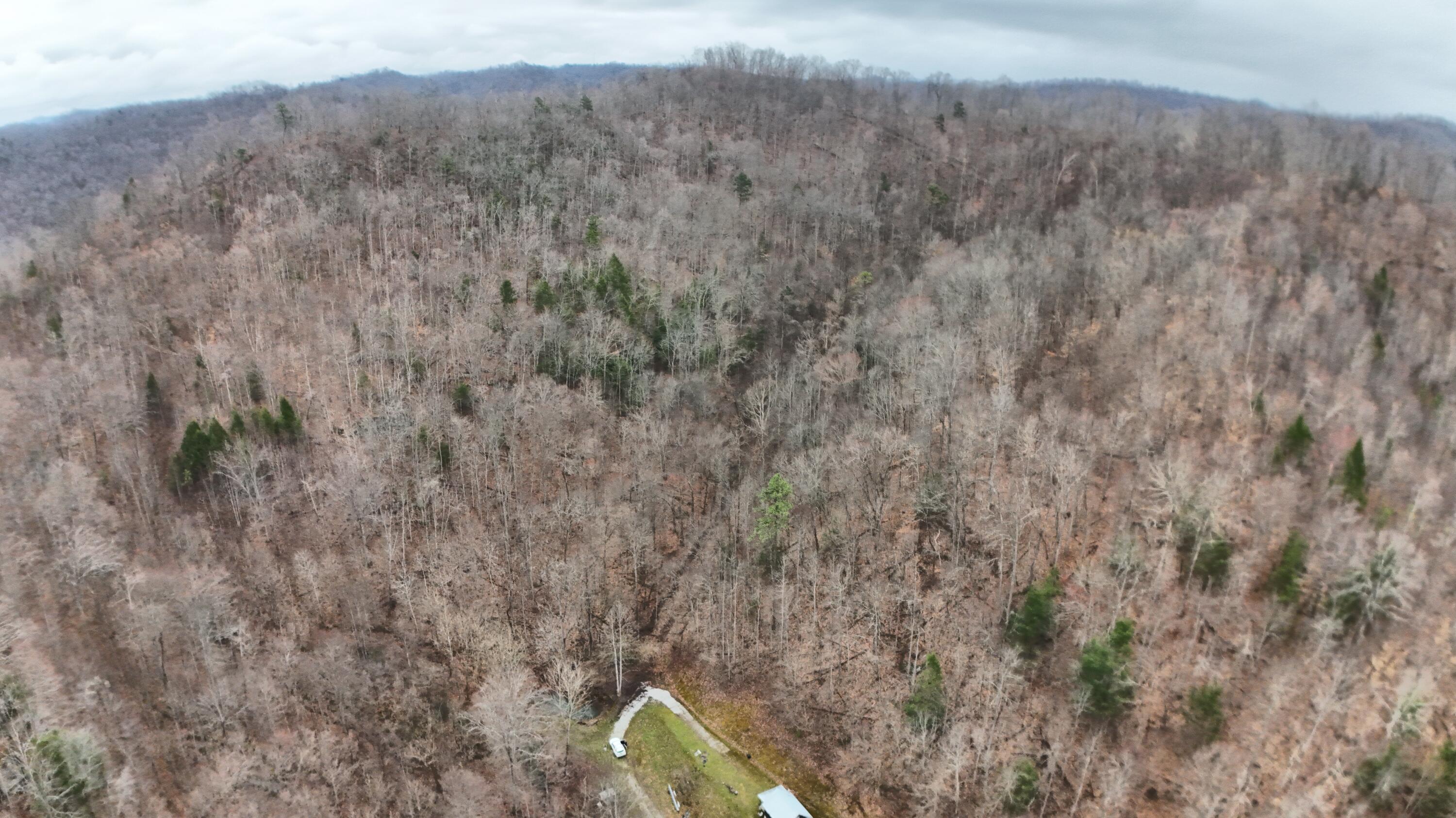 00 Owls Nest Road Property Photo